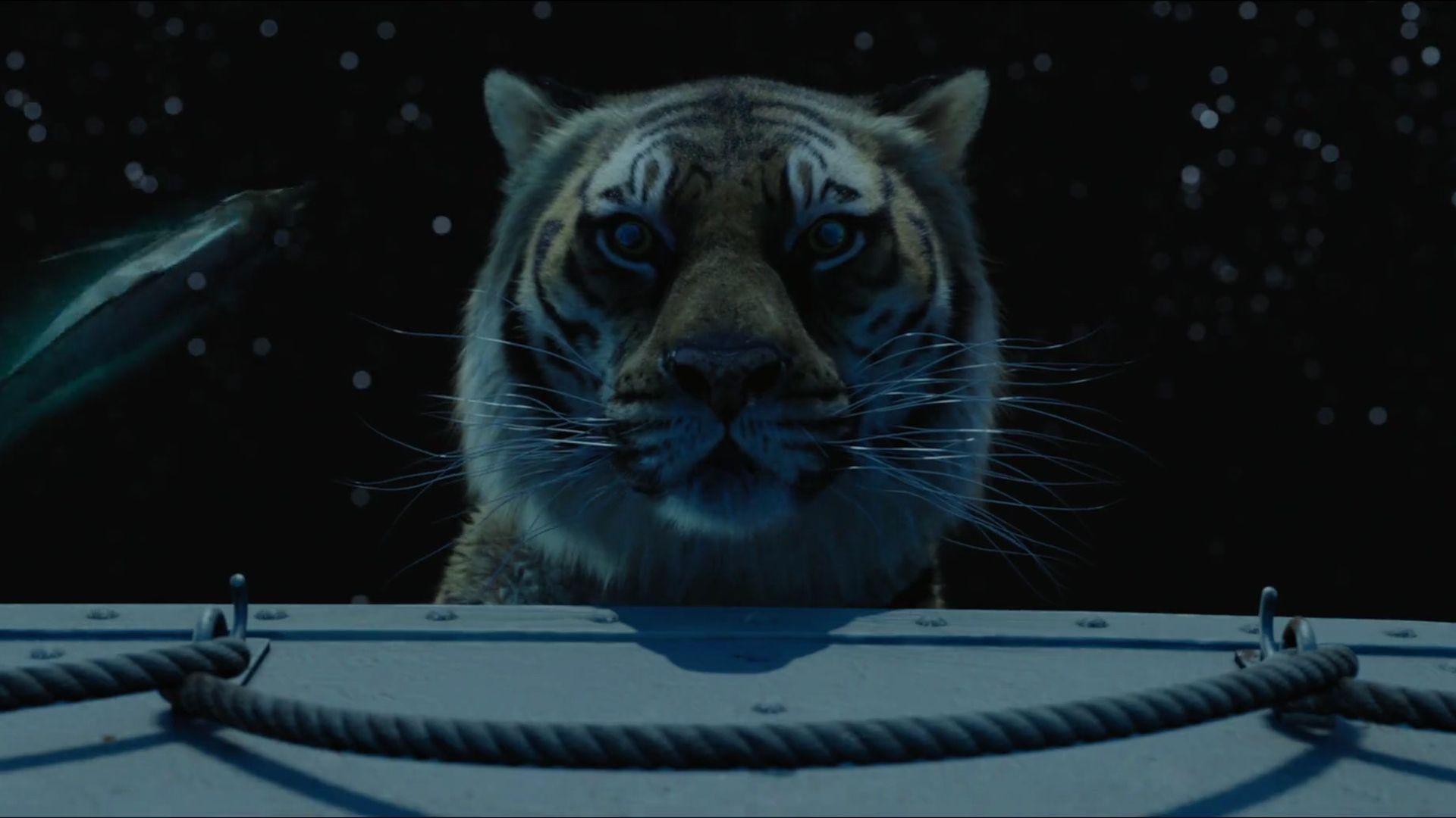 1920x1080 Life of Pi Full HD Wallpaper and Backgroundx1080, Desktop