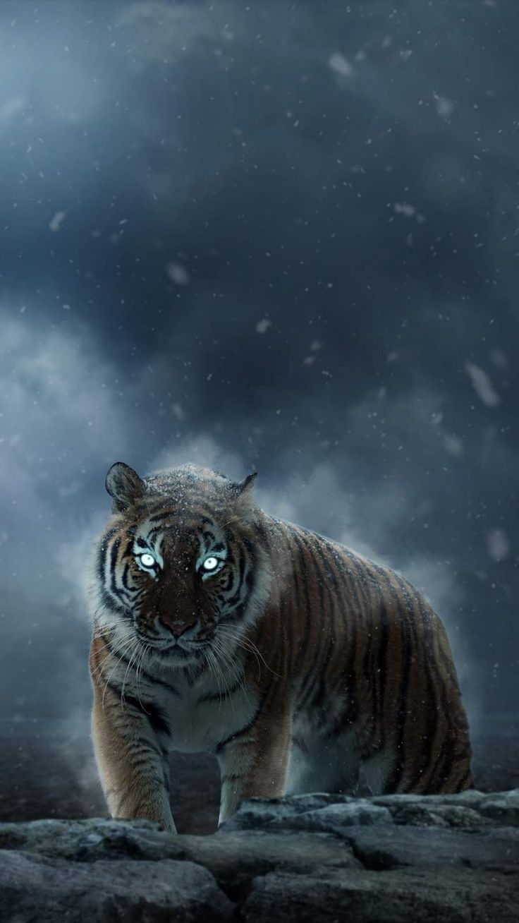 740x1310 Hunting Mode iPhone Wallpaper. Tiger artwork, Animal wallpaper, Tiger art, Phone