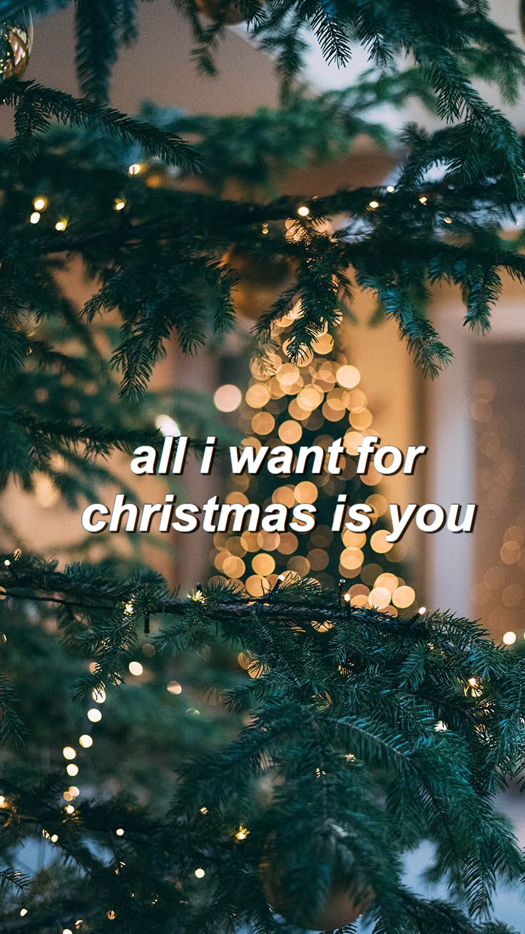 740x1310 cute cozy aesthetic vsco christmas wallpaper all i want for christmas is you mariah car. Christmas wallpaper, Cute christmas background, Cute christmas wallpaper, Phone