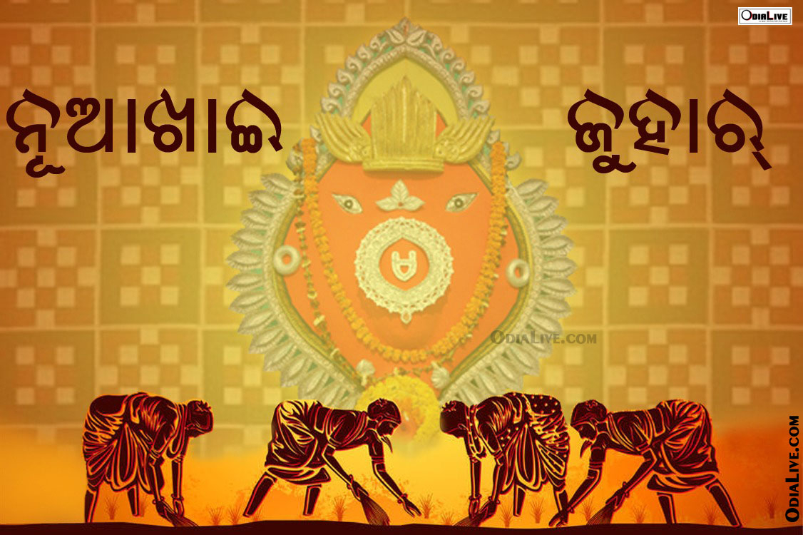 1130x750 Nuakhai Festival Wallpaper Greetings And Messages, Desktop