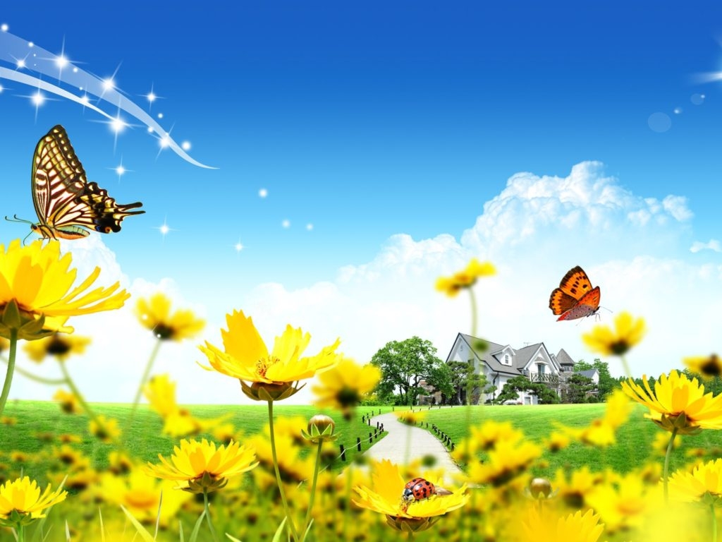 1030x770 Yellow Flowers, Butterflies HD Wallpaper, 2560x1600, Wallpaper13.com, Desktop