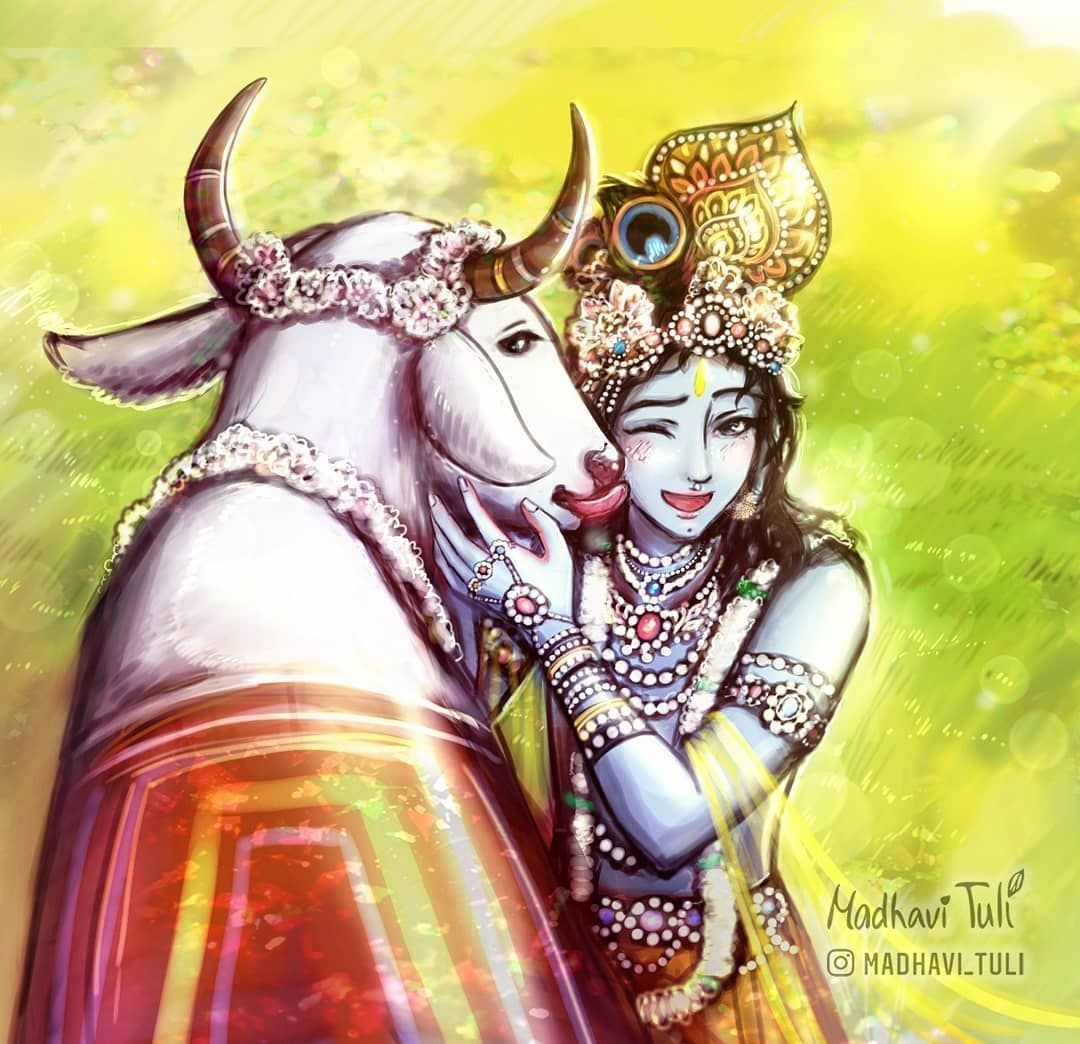 1080x1050 madhavi_tuli: Abandoning their calves, the young cows joyfully worship Krishna with abundant nectarean. Radha krishna art, Krishna drawing, Krishna radha painting, Desktop