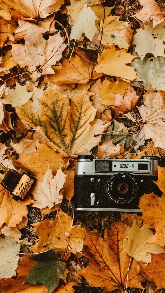 700x1250 Vintage Fall Wallpaper. Fall wallpaper, iPhone wallpaper fall, Background vintage, Phone