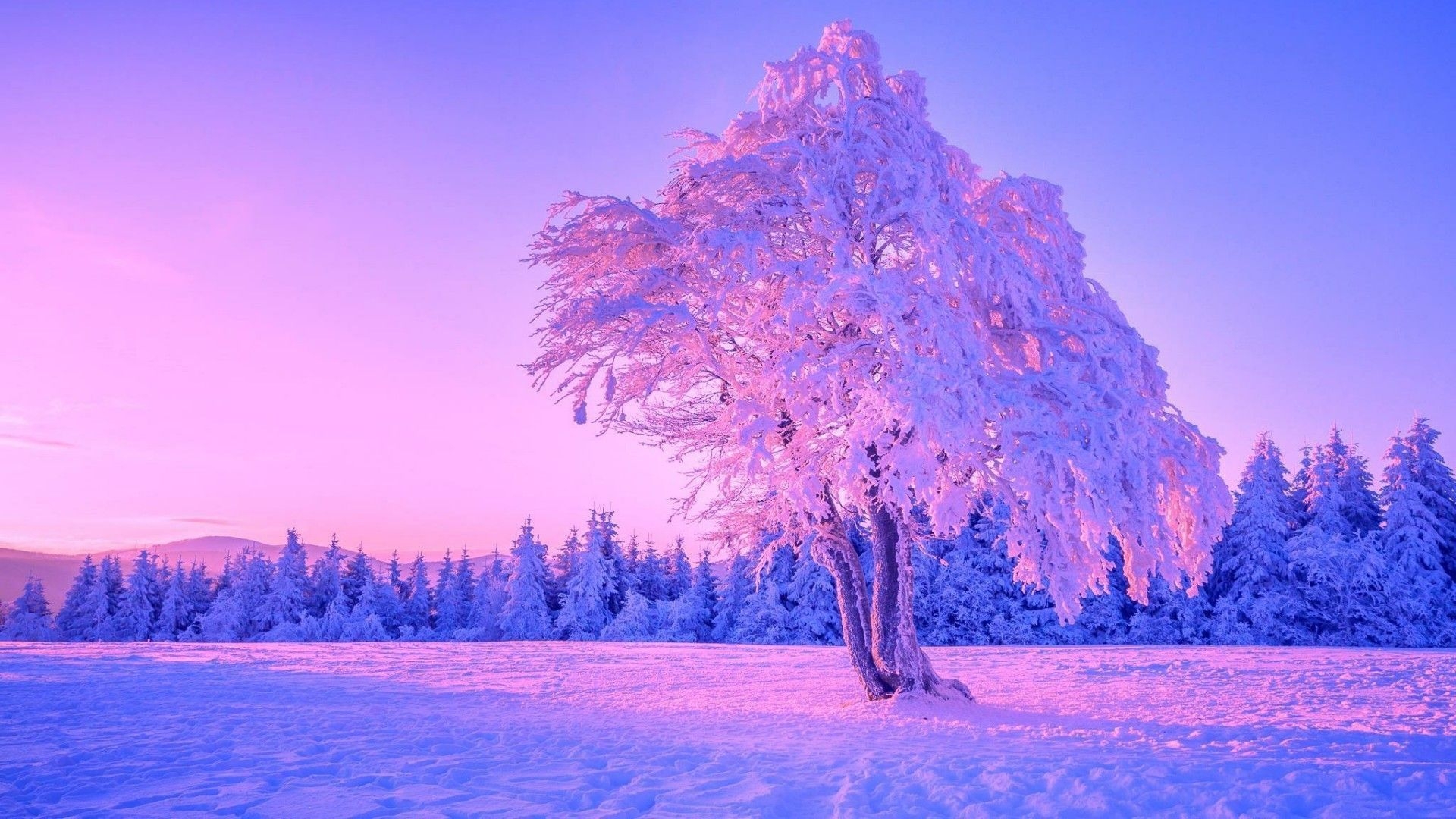 1920x1080 Winter Wallpaper Purple, Desktop