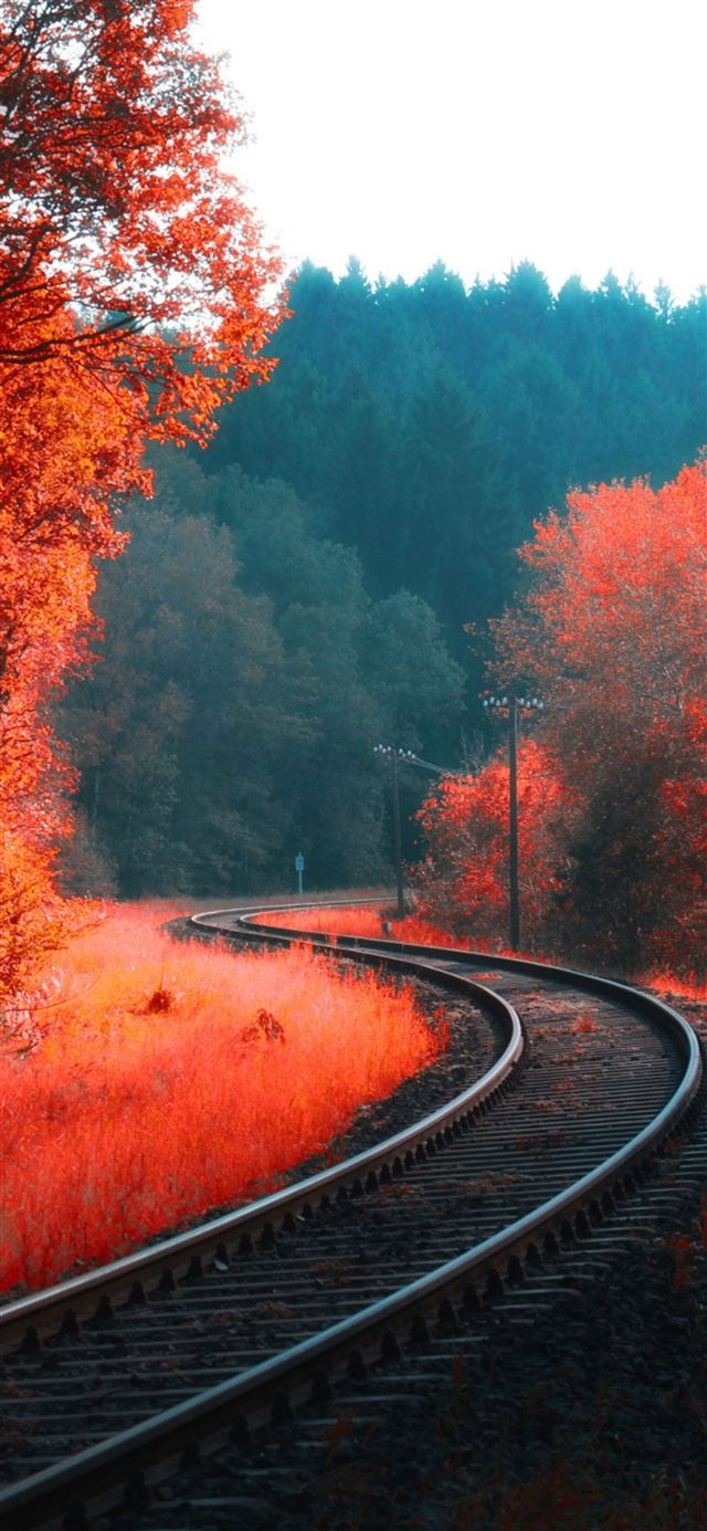 640x1390 Best Autumn iPhone 12 Wallpaper HD [2020], Phone