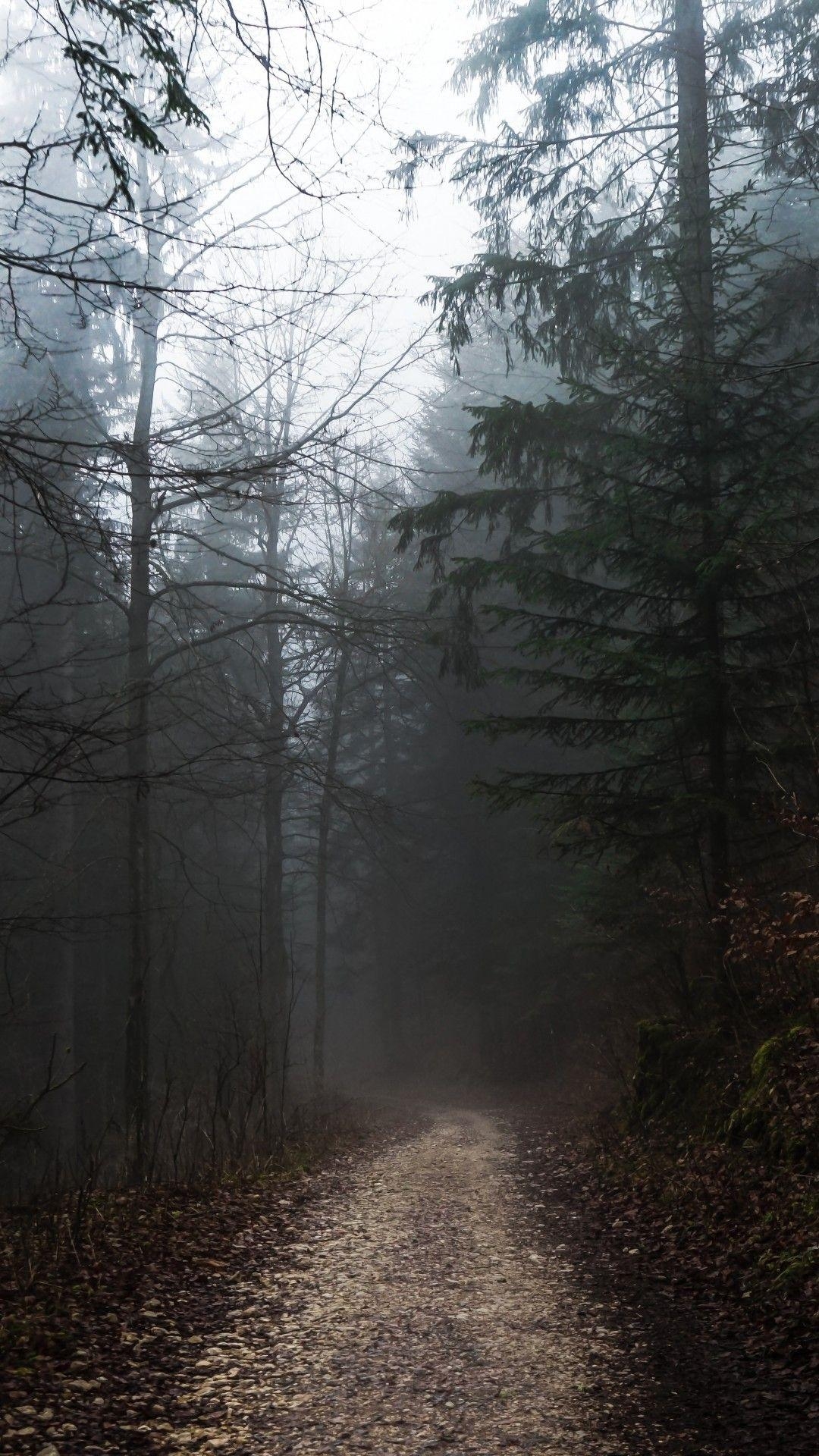 1080x1920 Foggy Forest, Path, Autumn, Gloomy Weather, Phone