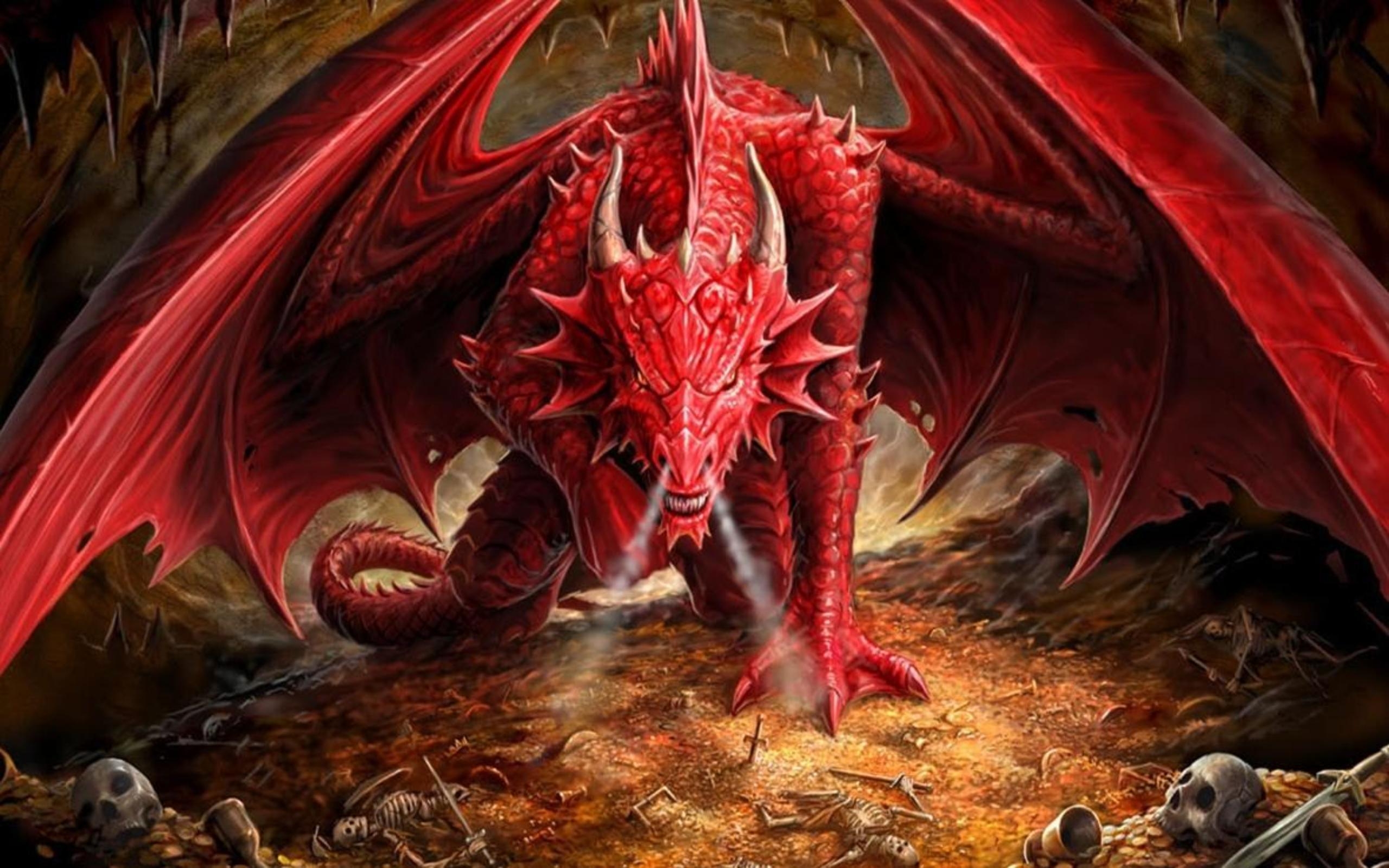 2560x1600 Dragon Wallpaper Real, Desktop