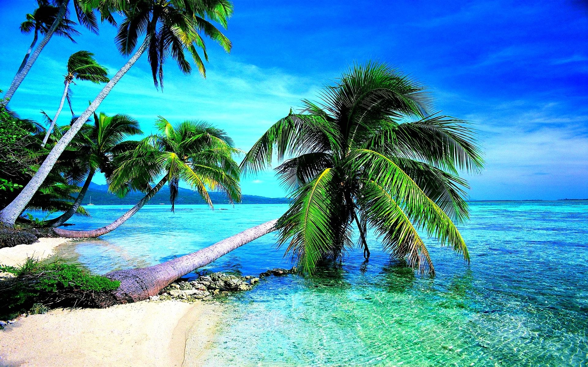 1920x1200 Tropical Beach Wallpaper HD • dodskypict, Desktop