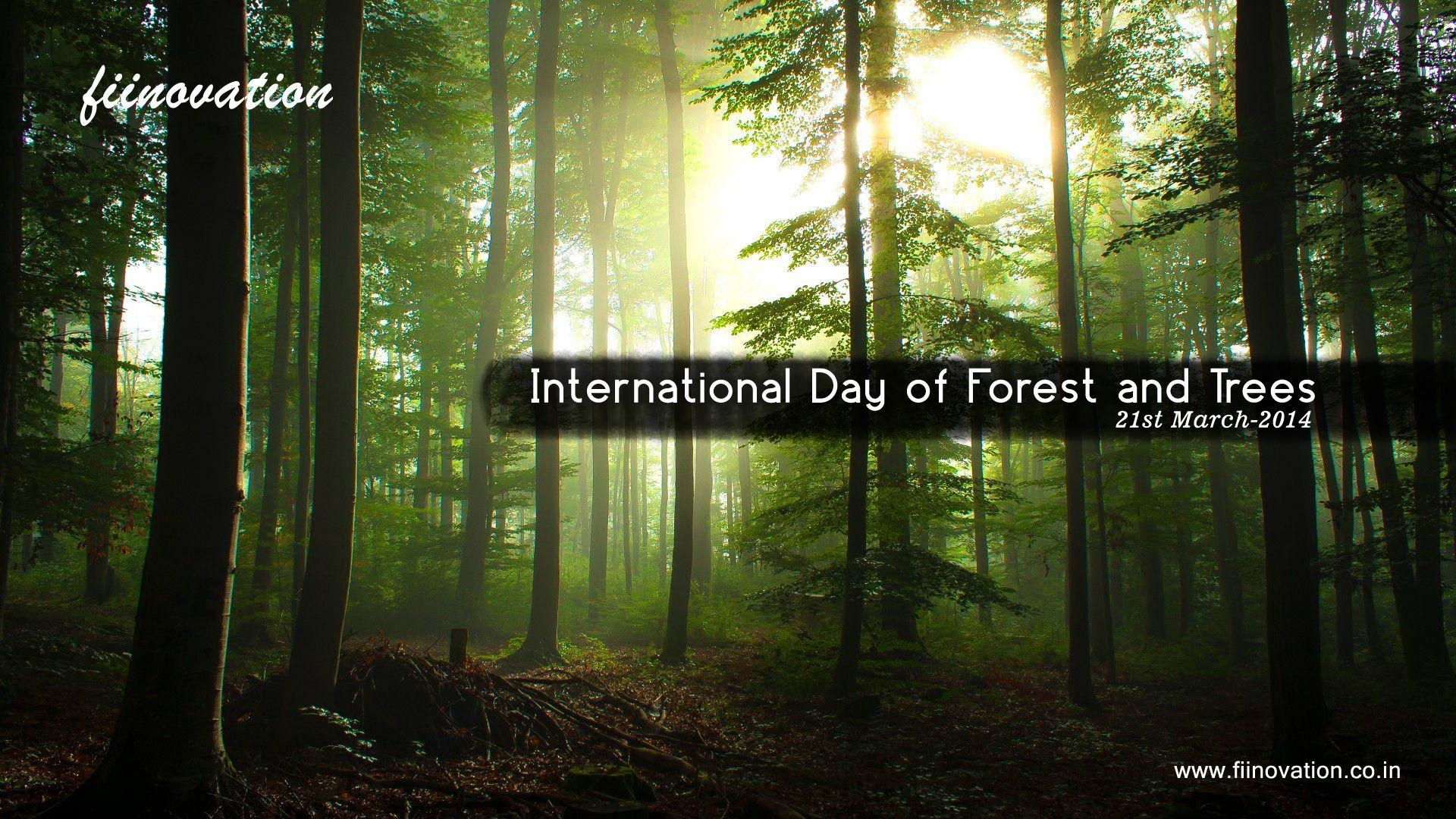 1920x1080 International Day of Forests Financial Advisors Pvt, Desktop