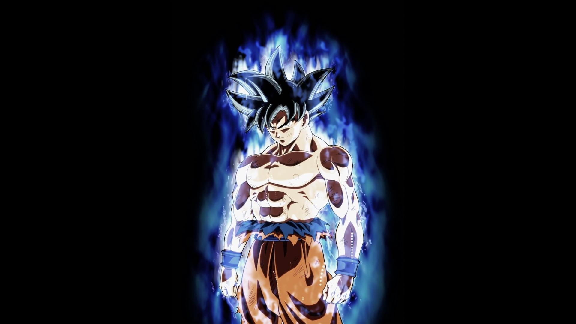 1920x1080 Dragon Ball Z Son Goku ultra instinct illustration HD, Desktop