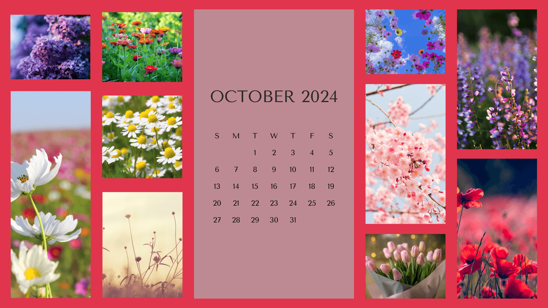 1920x1080 September, October, November December, Desktop