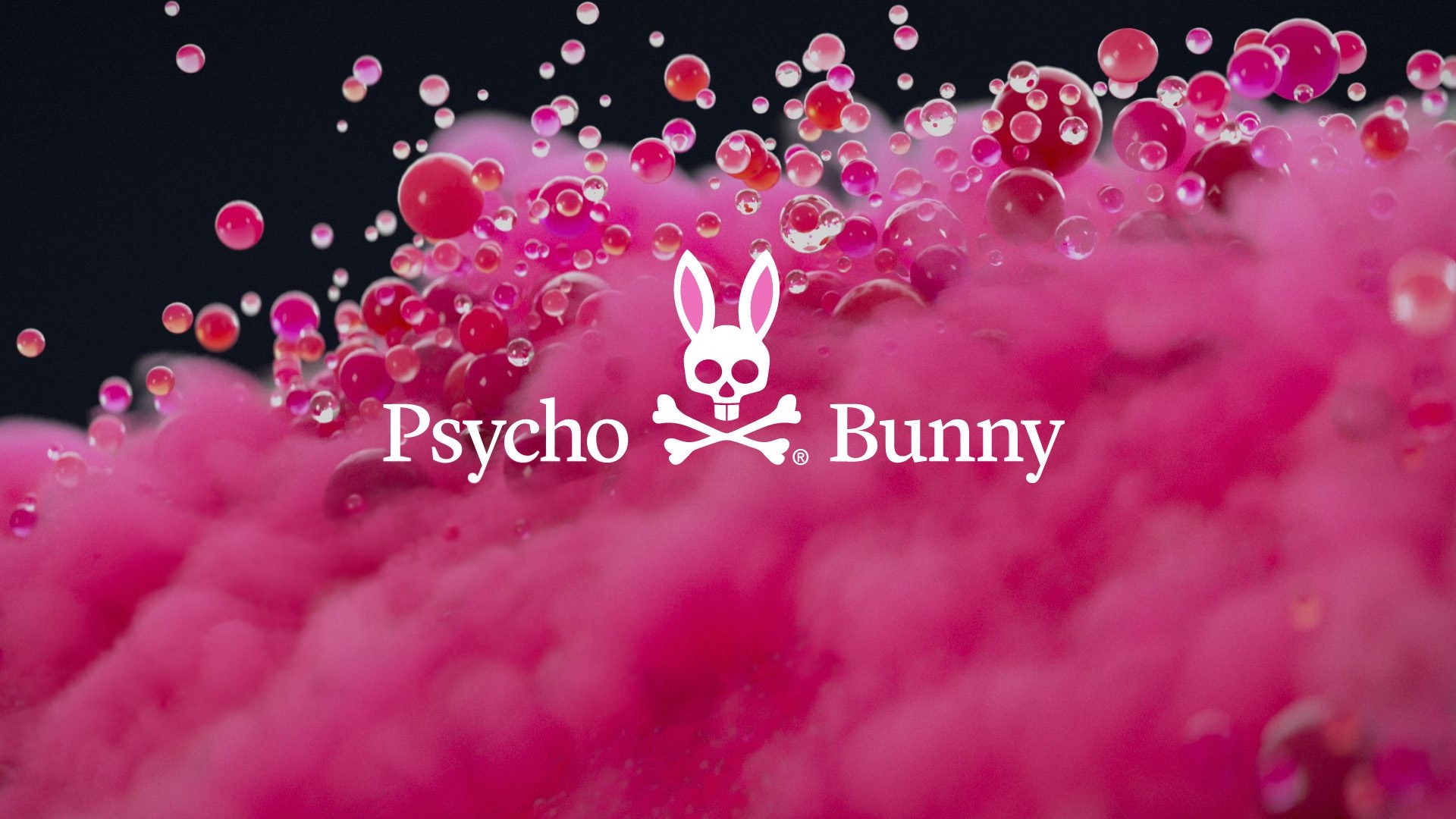 1920x1080 PSYCHO BUNNY, Desktop