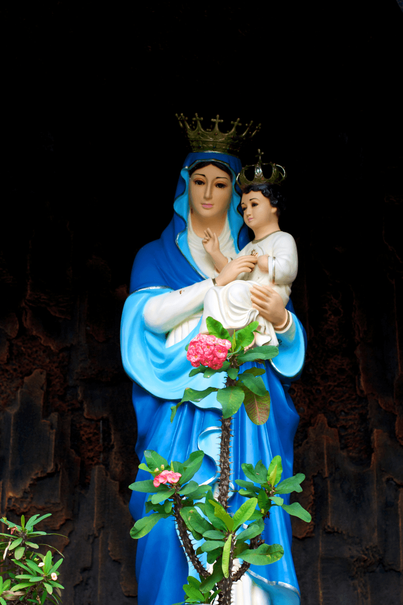 800x1200 Mother Mary, Phone