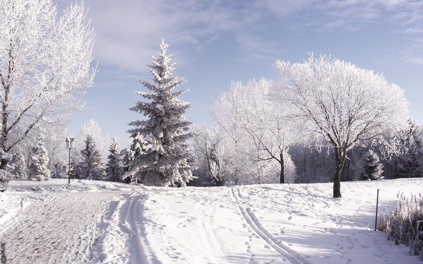 1600x1000 Nature Snow desktop HD Wallpaper. High Quality Wallpaper, Desktop
