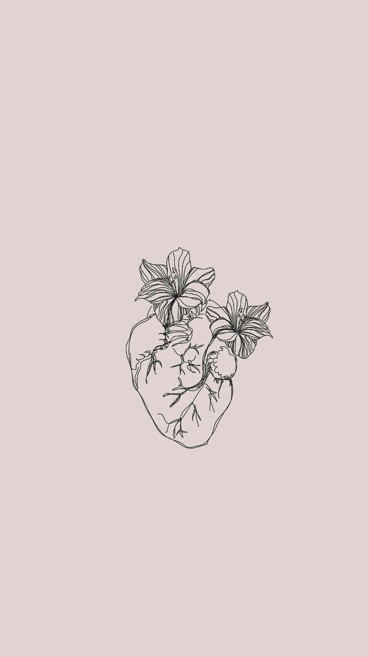 740x1310 Wallpaper. Flower drawing, Aesthetic iphone wallpaper, Wallpaper background, Phone
