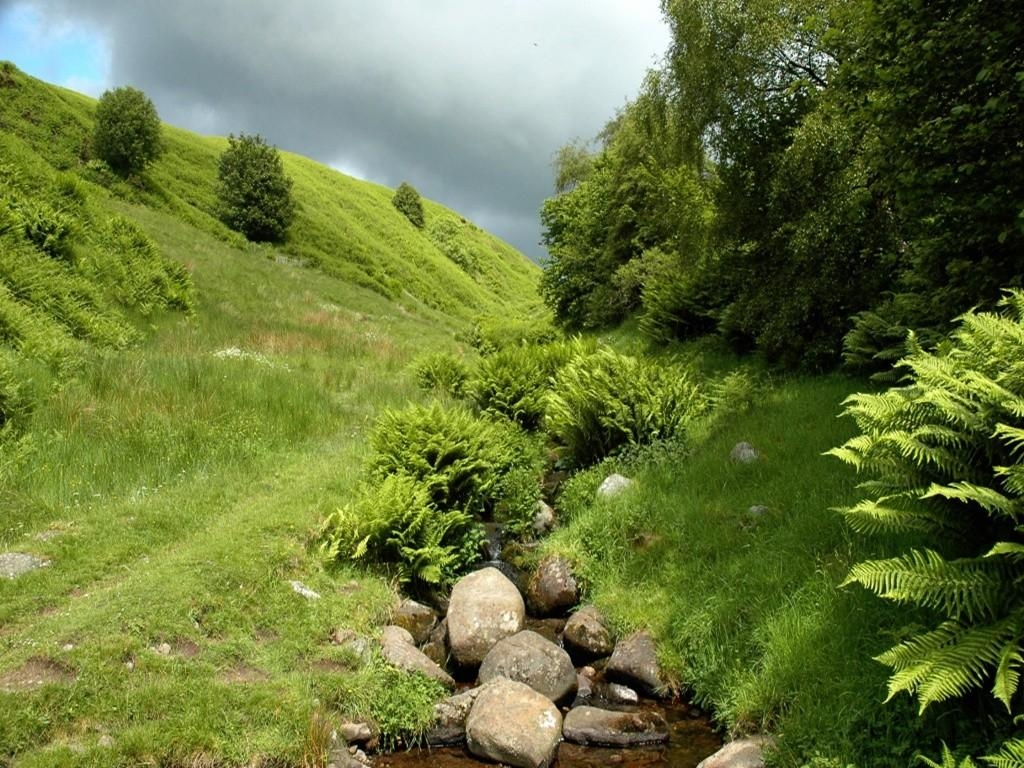 1030x770 Caledonia Tag wallpaper: Stream Grass Green Rock Sky Cloudy, Desktop