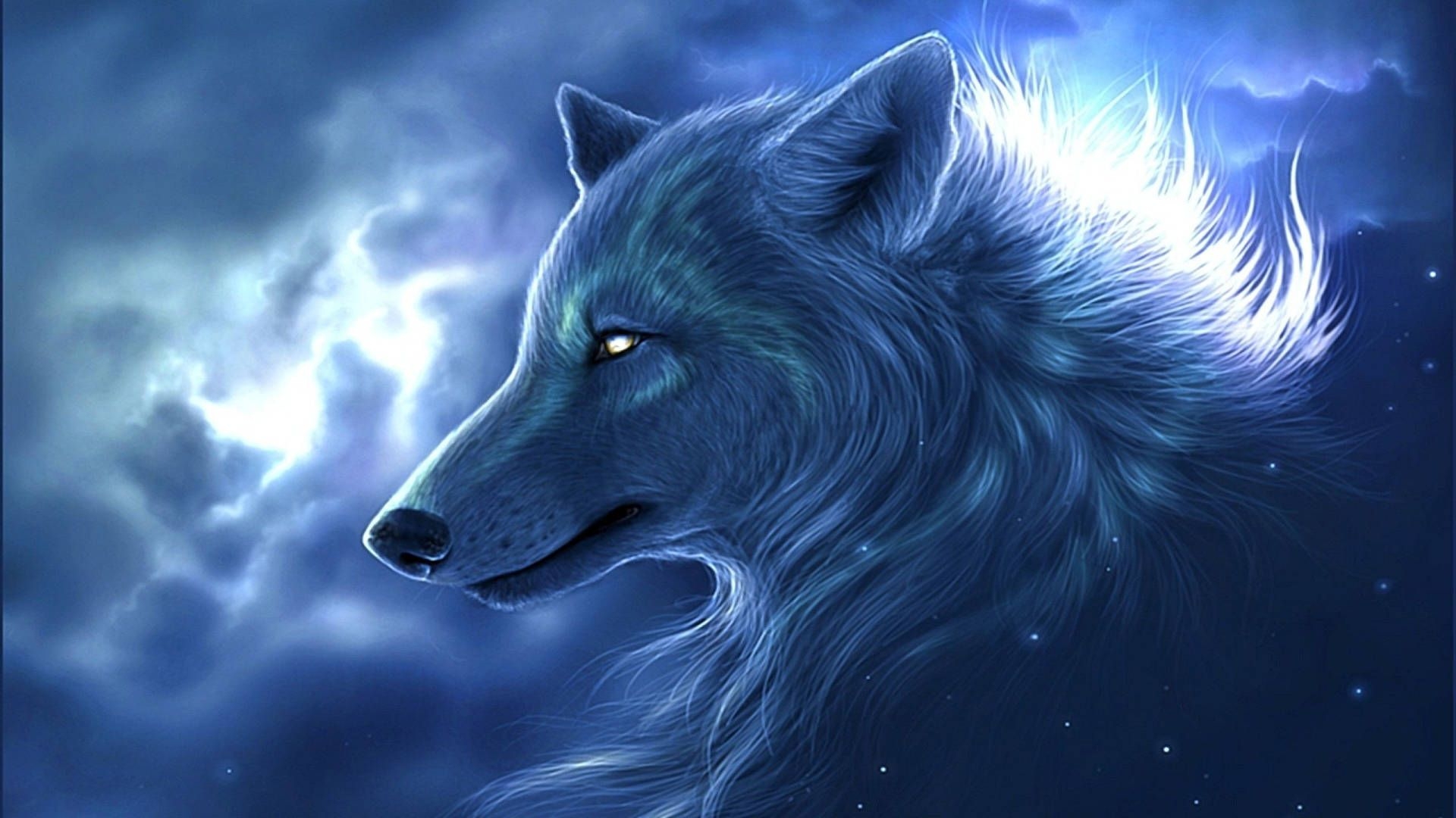 1920x1080 Wolf Wallpaper, Top Best Quality Wolf Background Download (4k, HD), Desktop