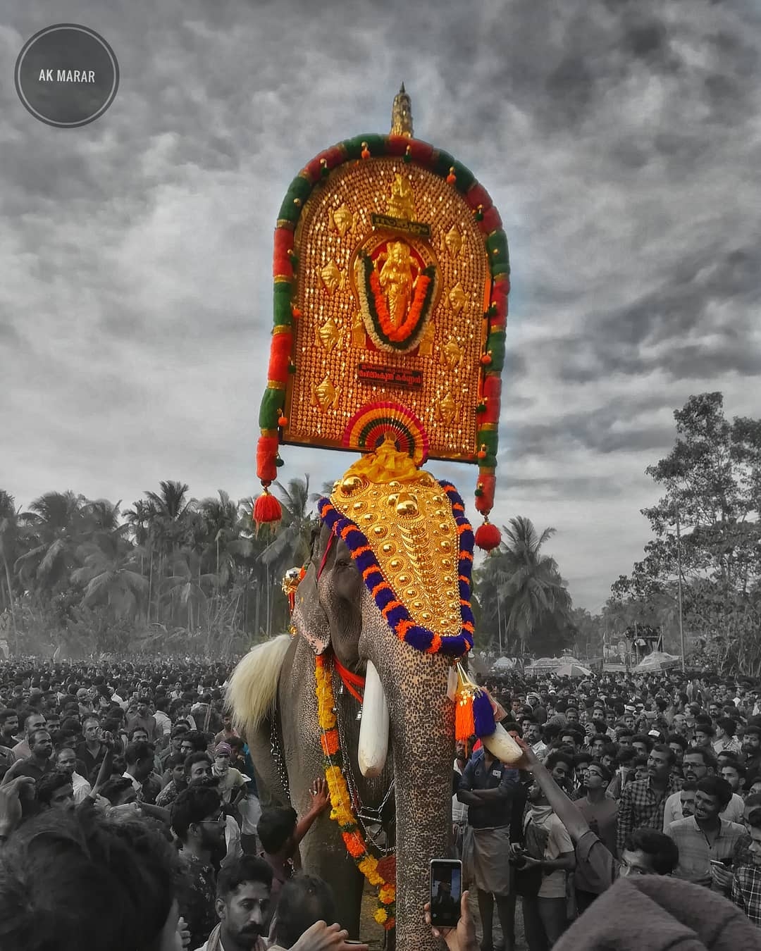 1080x1350 Marar‍ - #mangalamkunnu #karnan #elephants, Phone