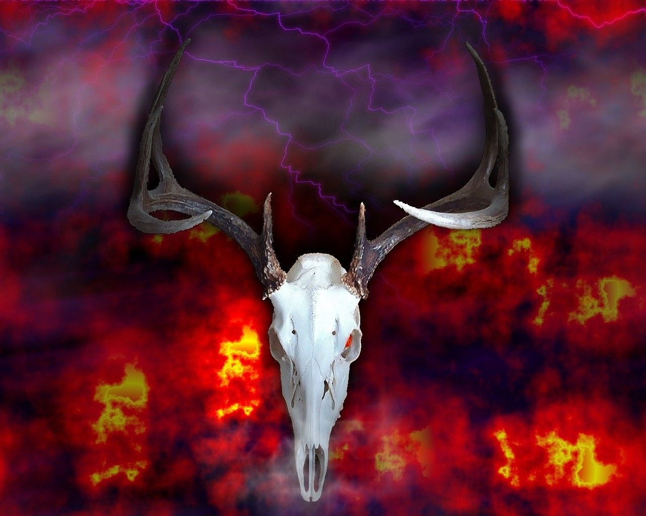 1280x1030 Spirit Deer Skull Fantasy Animals Whitetail Wallpaper Deer Background HD Wallpaper, Desktop