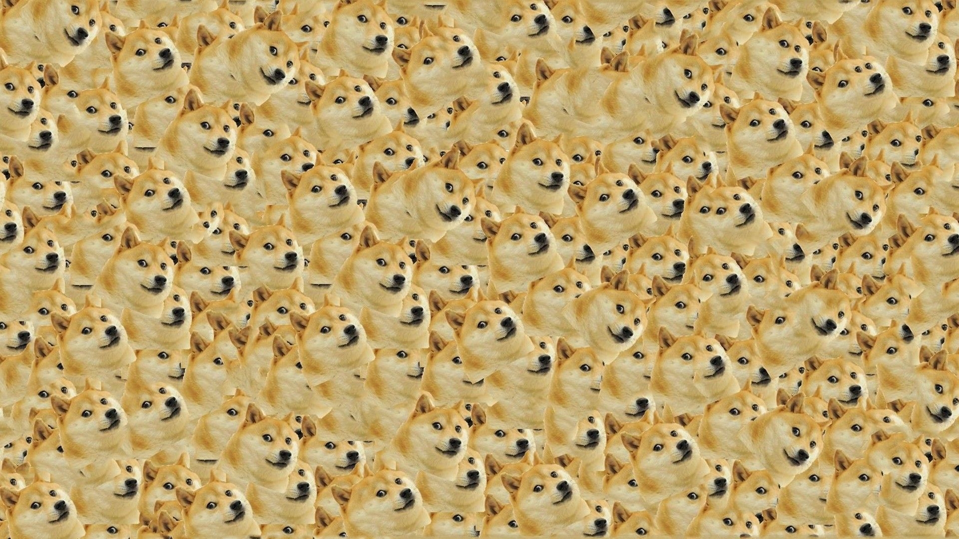 1920x1080 Doge wallpaper, Desktop