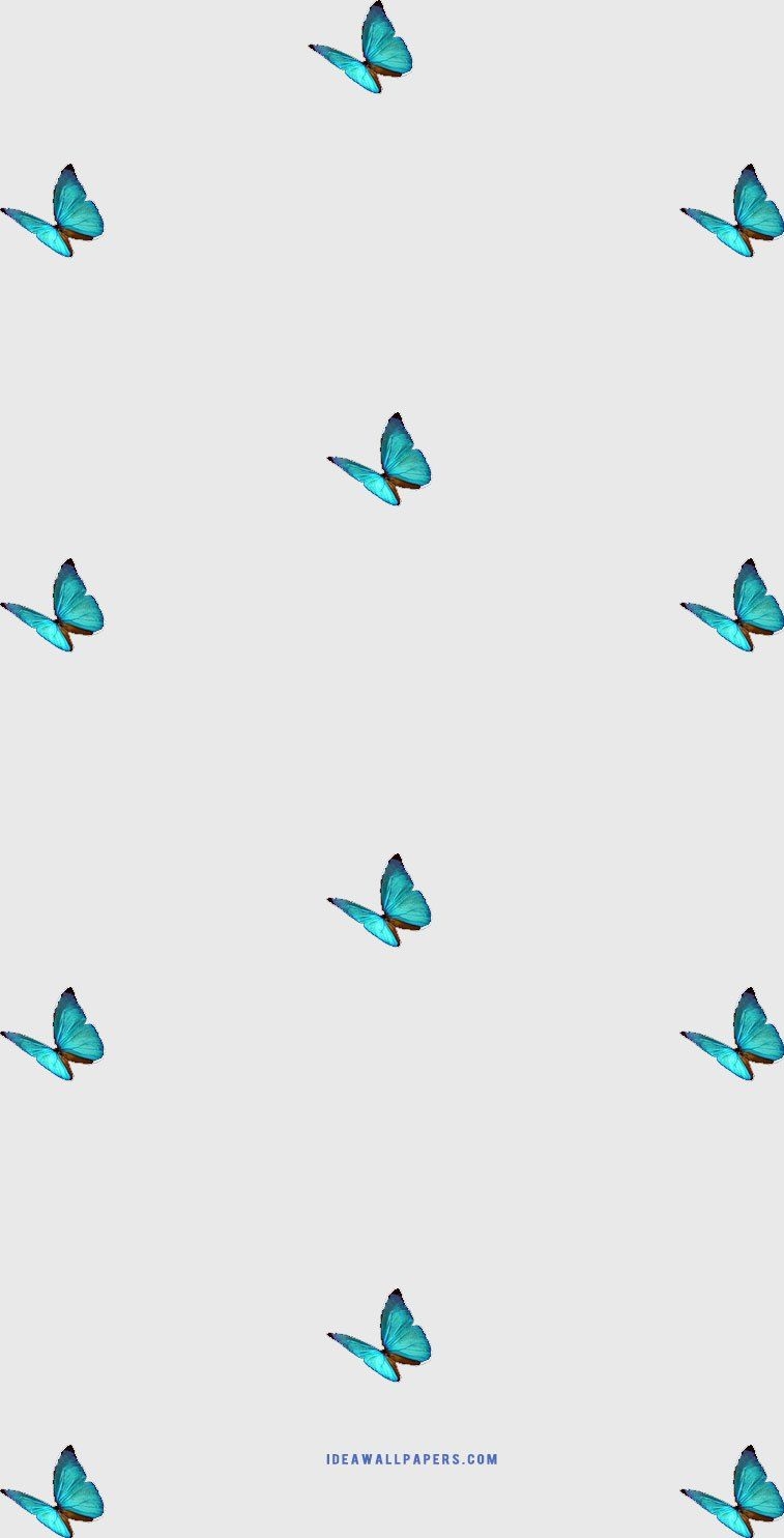 760x1490 Butterfly iphone wallpaper Wallpaper, iPhone Wallpaper, Phone