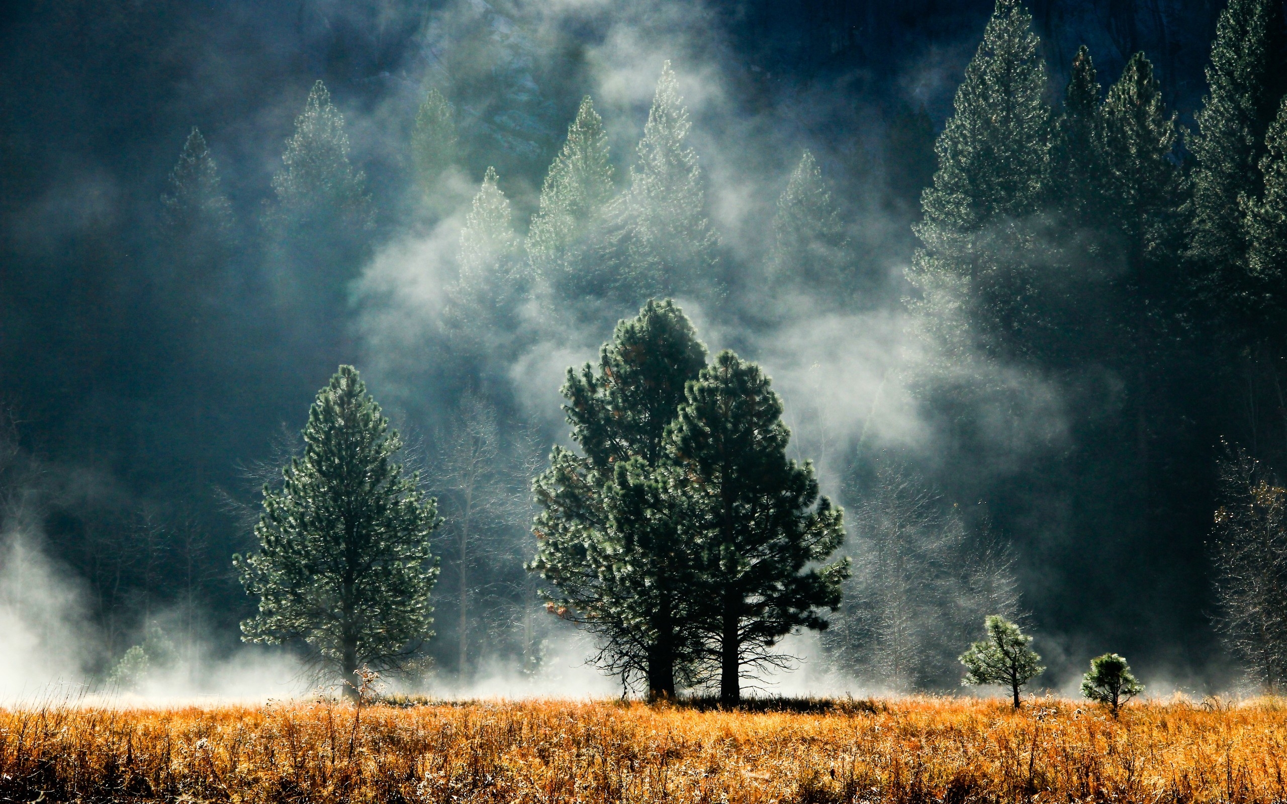 2560x1600 Pacific Northwest Desktop, Desktop