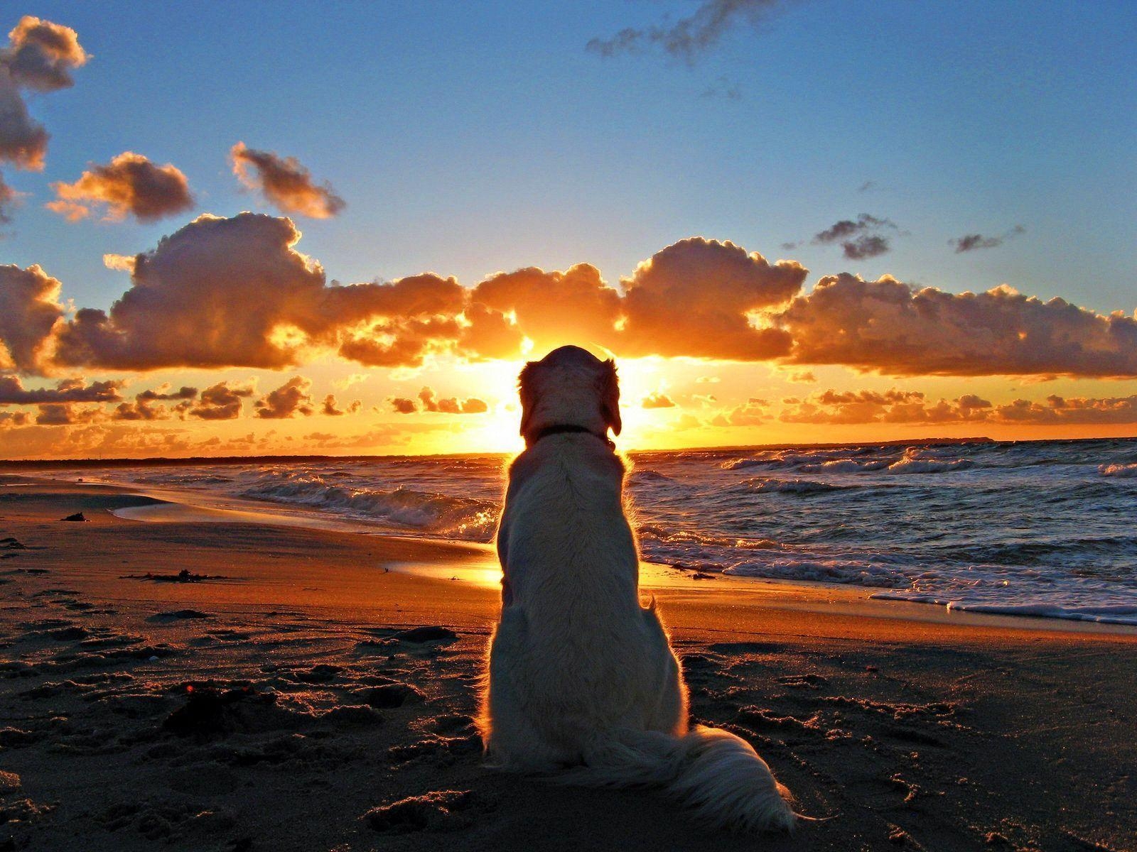 1600x1200 Pretty Sunset Wallpaper, Desktop