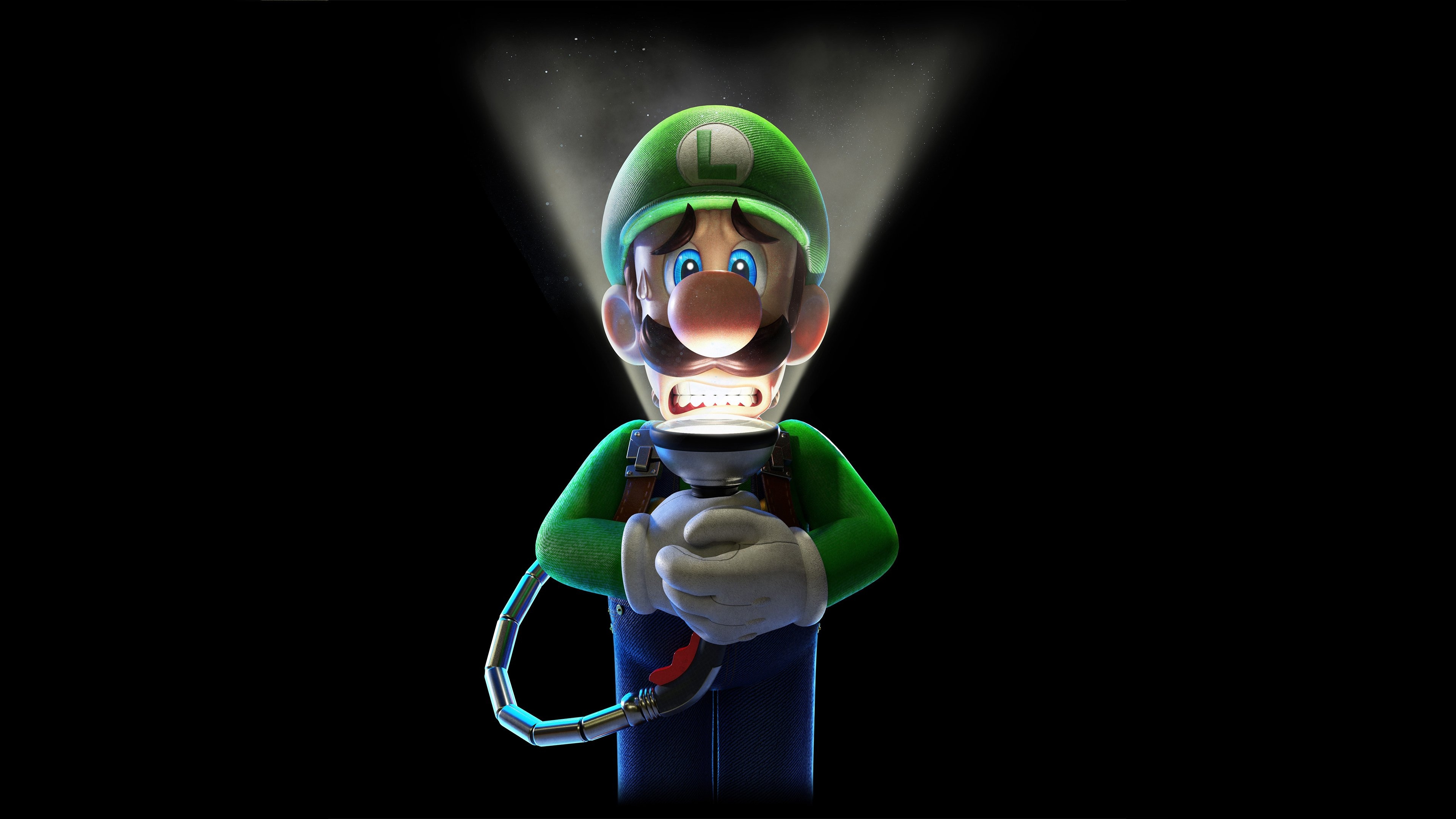 3840x2160 Luigis Mansion 3 HD Games, 4k Wallpaper, Image, Desktop