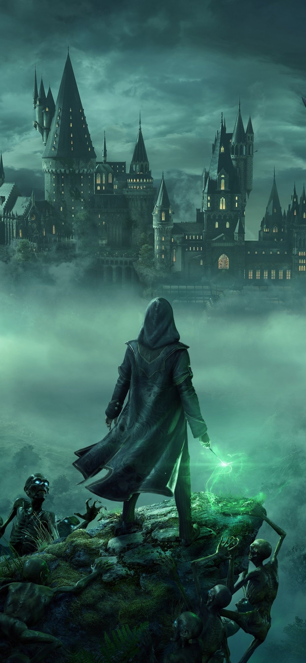 1250x2690 Hogwarts Legacy Wallpaper 4K, PC Games, PlayStation Games, Phone