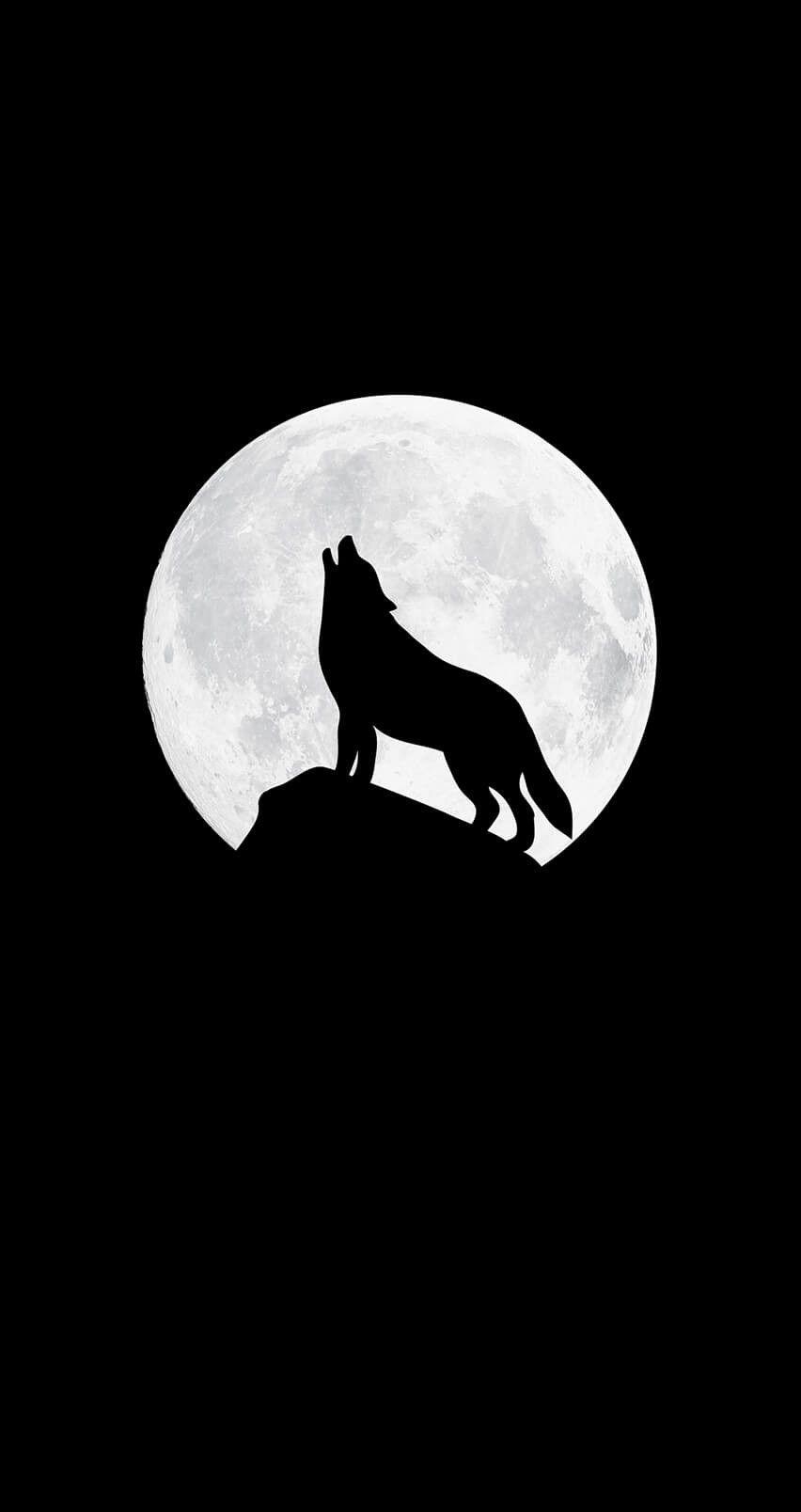 860x1610 Wolf Background, Black Wallpaper iPhone Dark, Minimalist, Phone