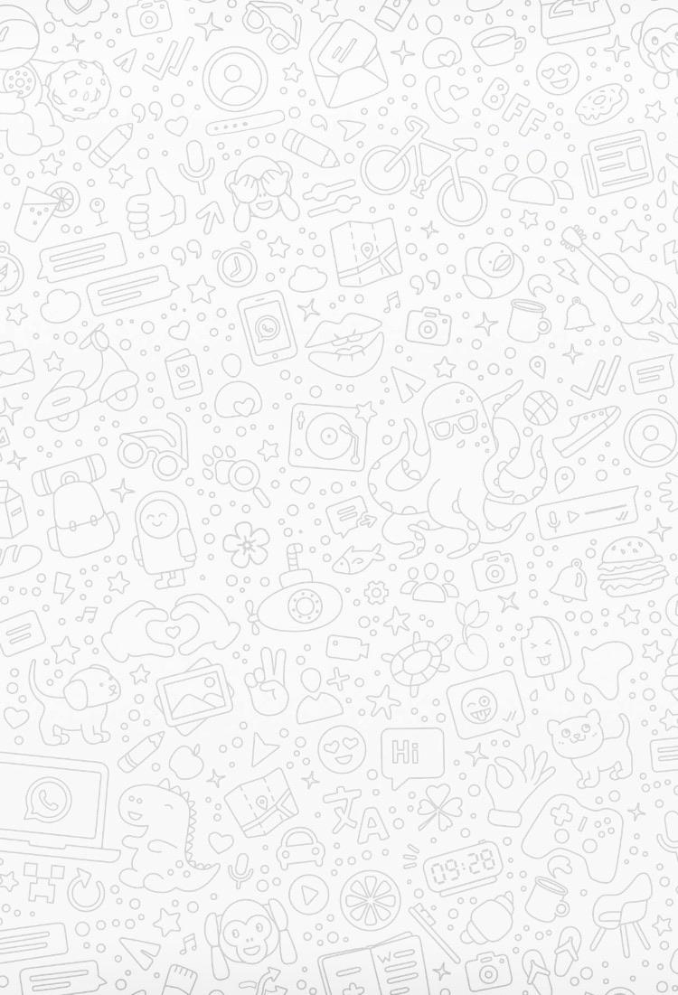 750x1110 Default WhatsApp background for people, Phone