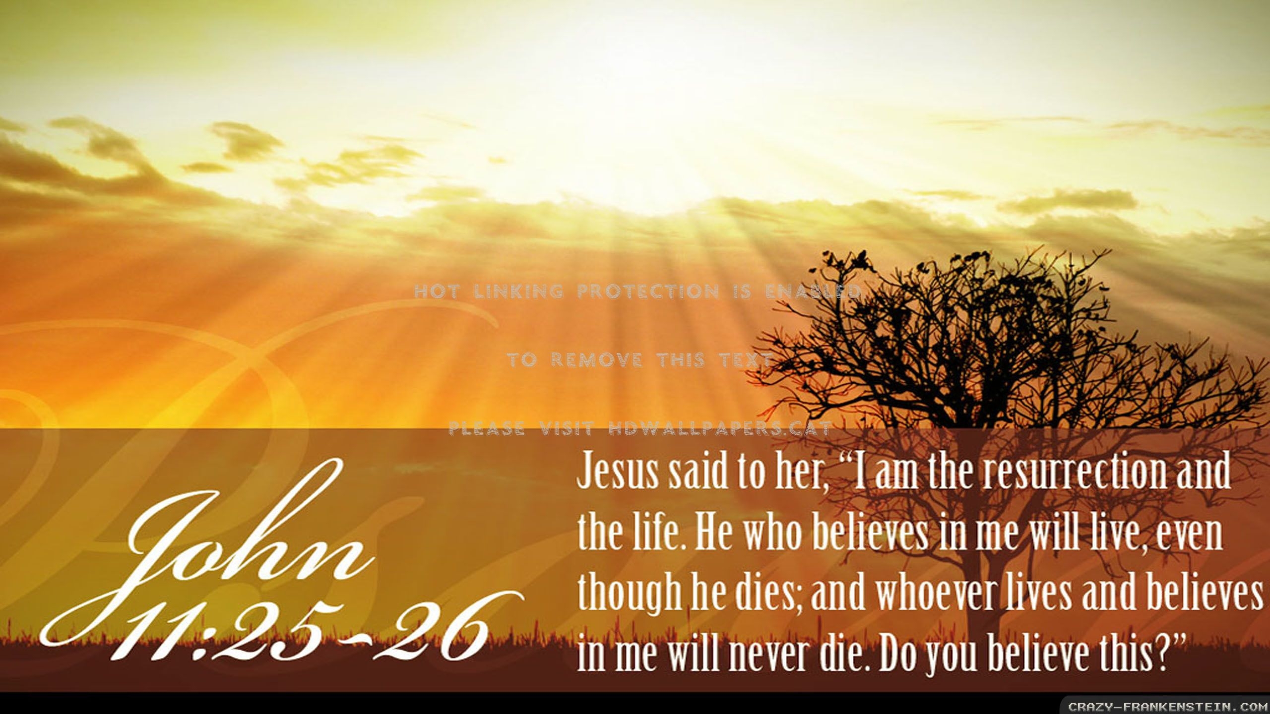 2560x1440 jesus the way good friday happy easter, Desktop