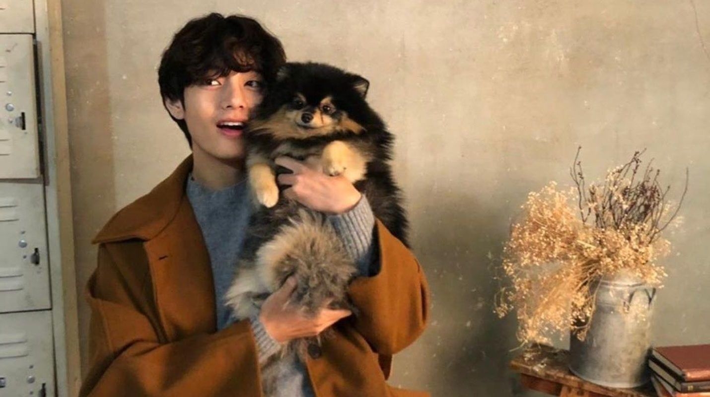 1430x800 V and His Puppies Yeontan Become Models, Desktop