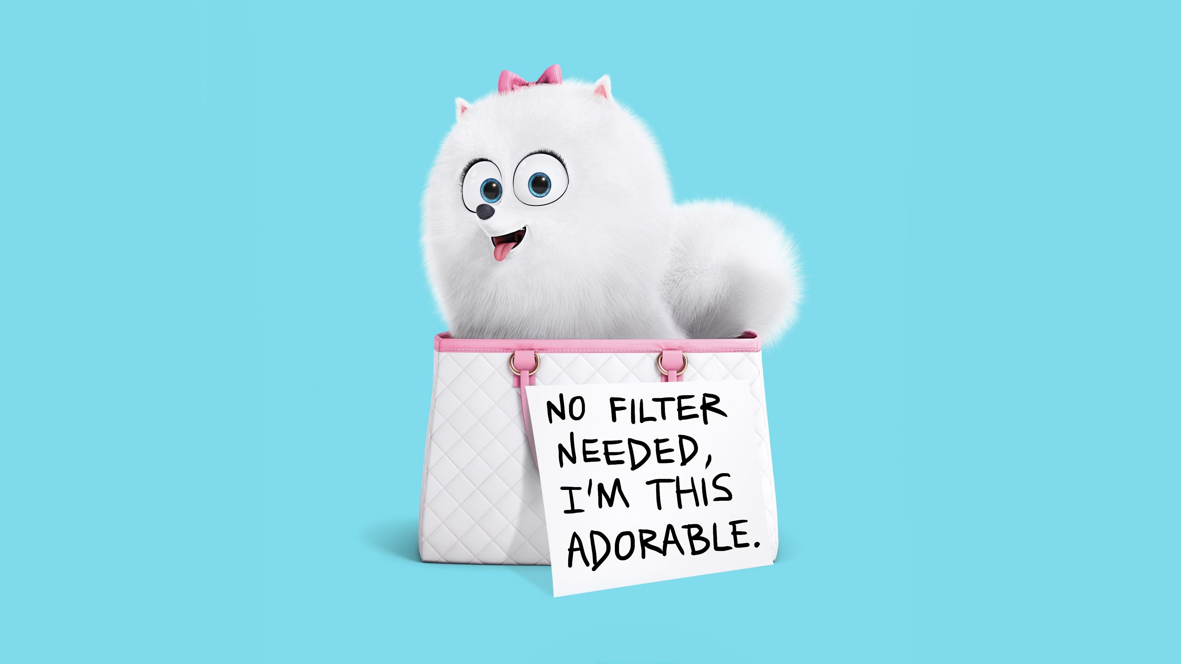 3840x2160 Movies Gidget The Secret Life of Pets wallpaper Desktop, Phone, Desktop