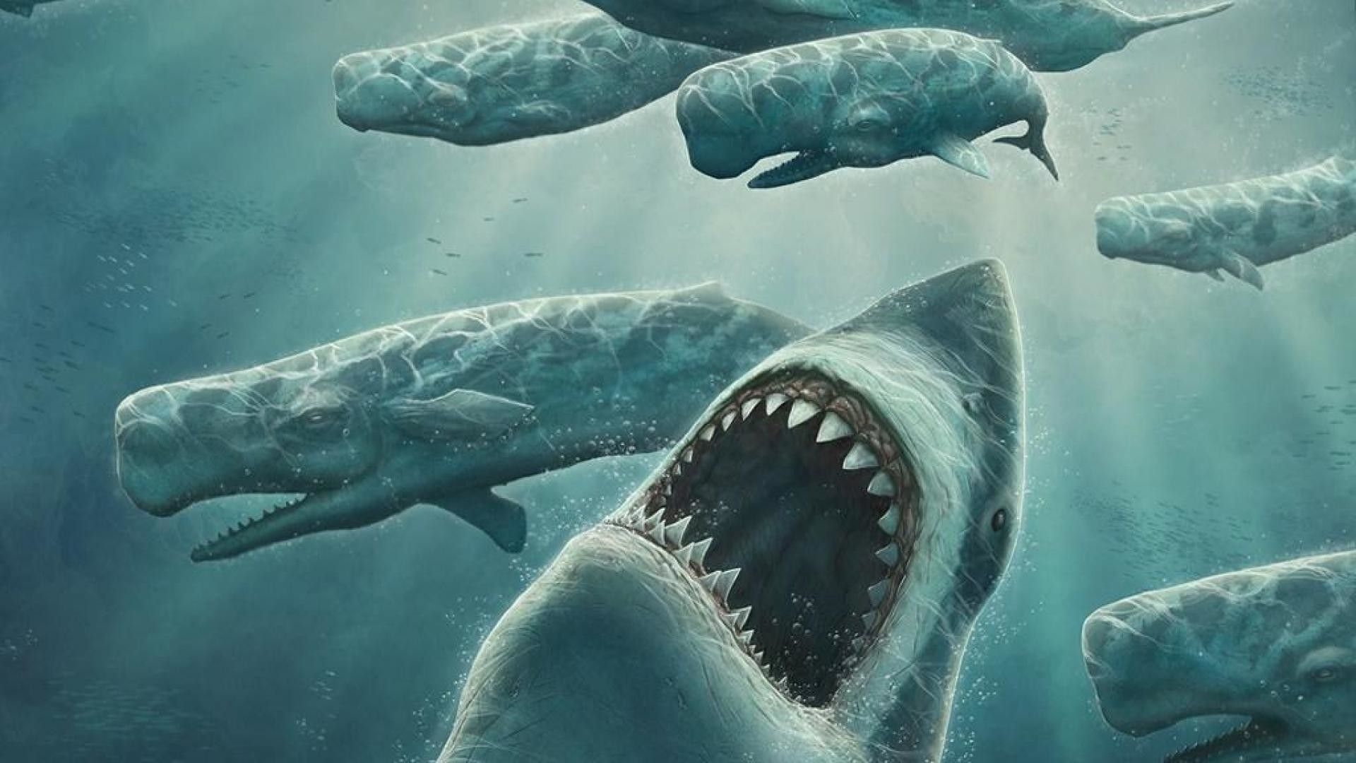 1920x1080 Megalodon Wallpaper Free Megalodon Background, Desktop