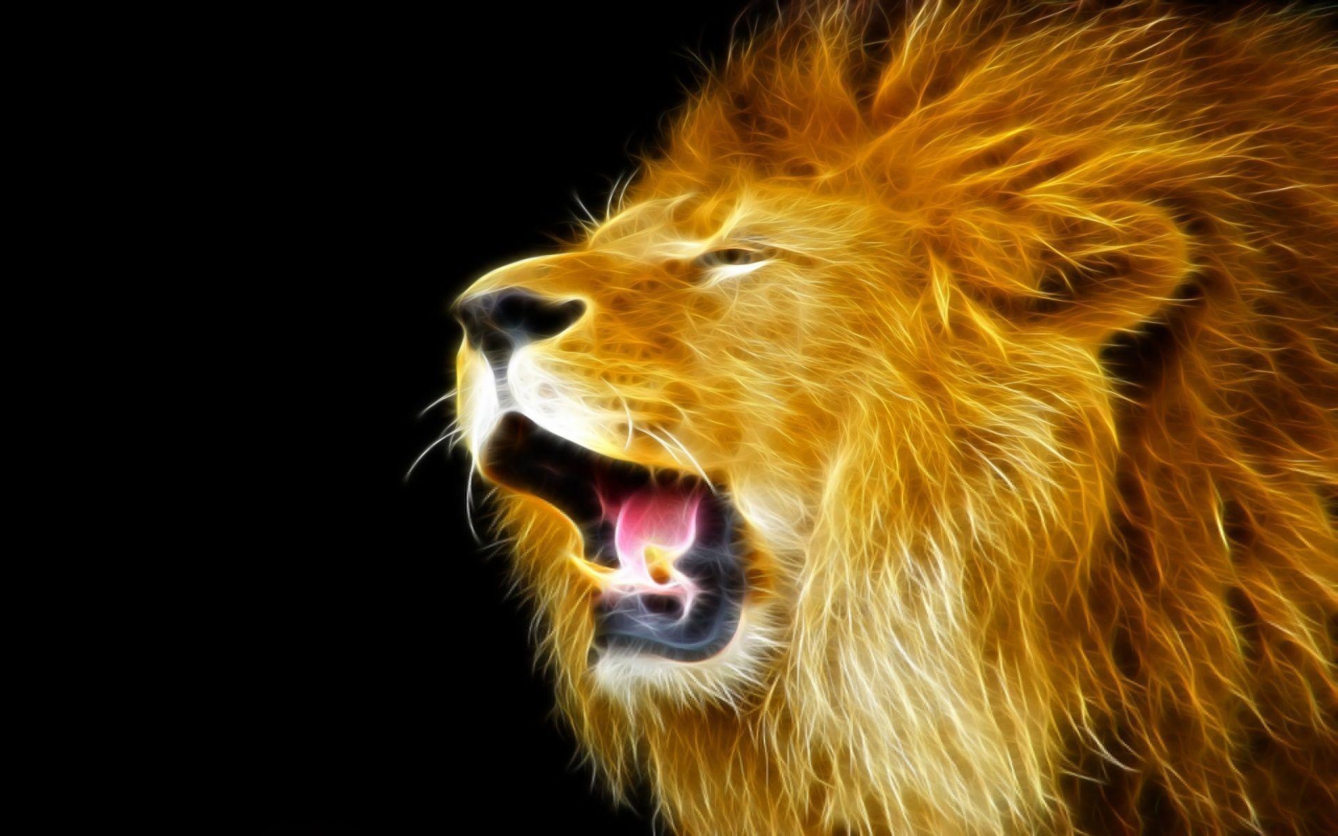 1920x1200 Download Lion Wallpaper Wallpaper Inn, Desktop