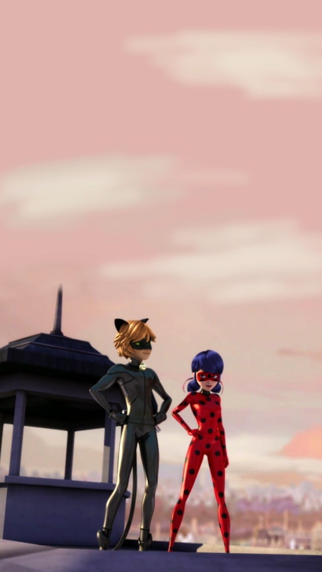 1080x1920 Ladybug and Chat Noir Wallpaper, Phone