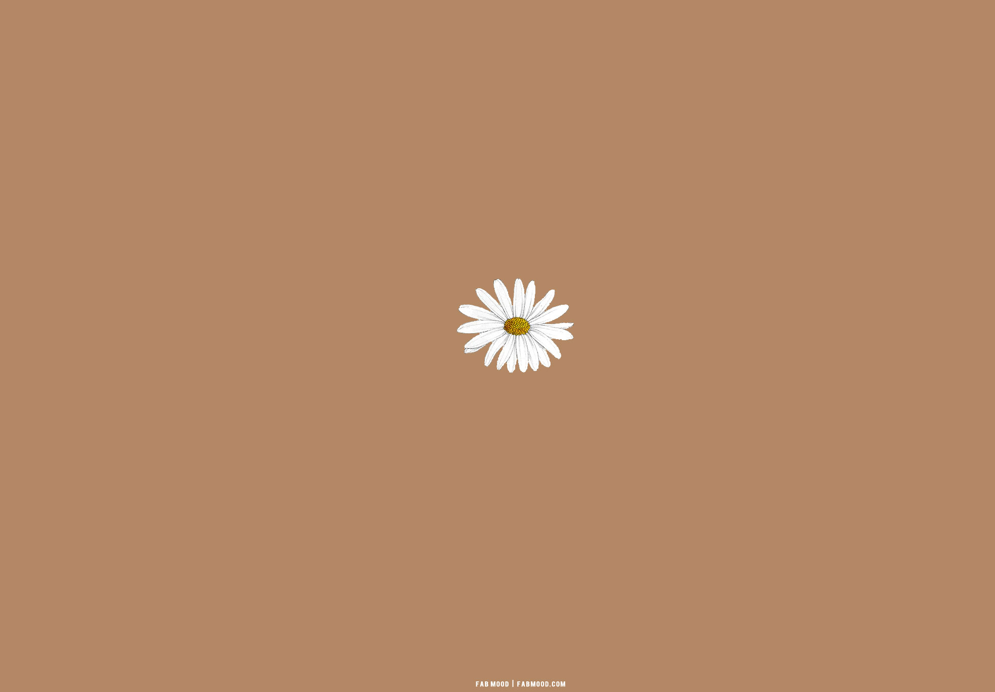 1970x1380 Brown Aesthetic Wallpaper for Laptop, Daisy, Desktop