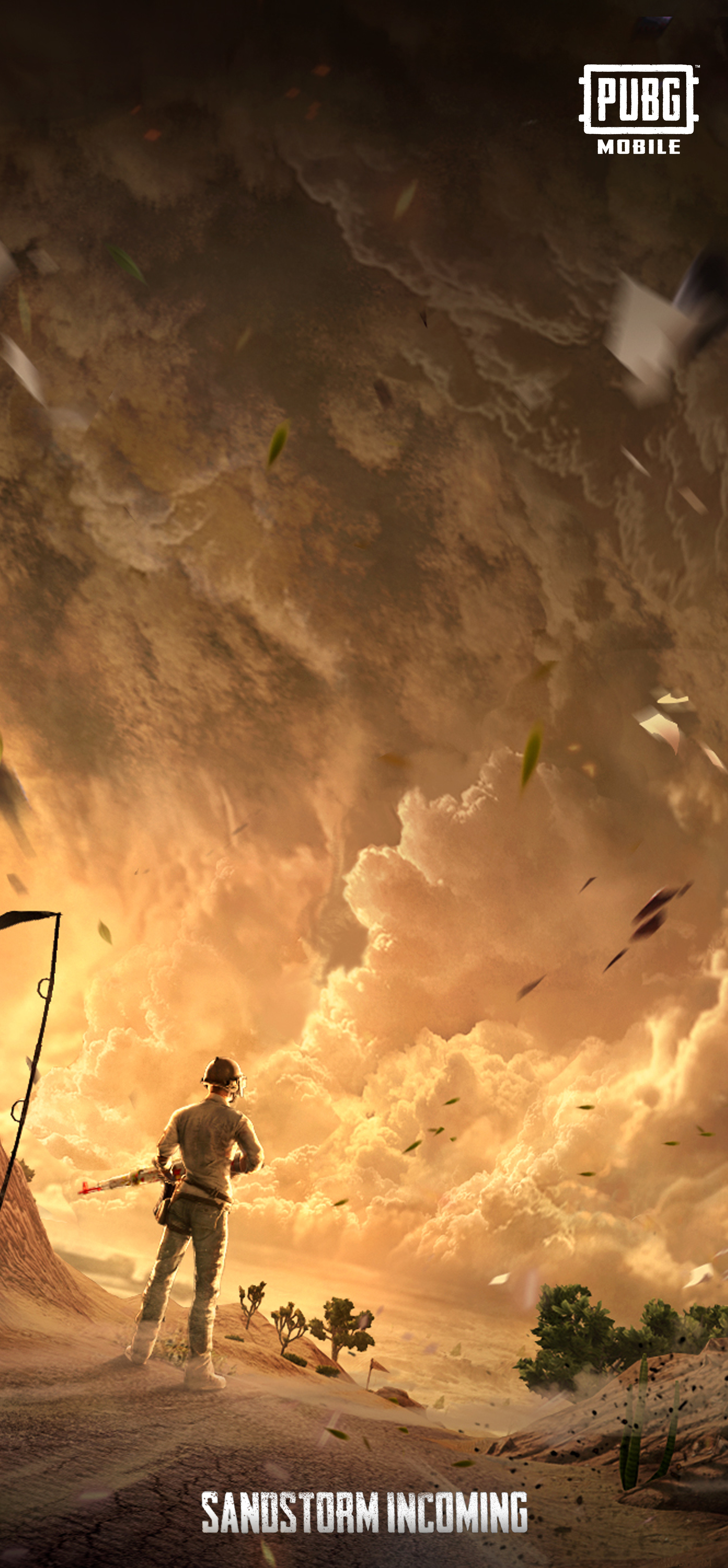 2160x4660 To Celebrate Mad Miramar, here's a mobile wallpaper with the PUBG artwork. Who loves how the sandstorm looks in the game?, Phone