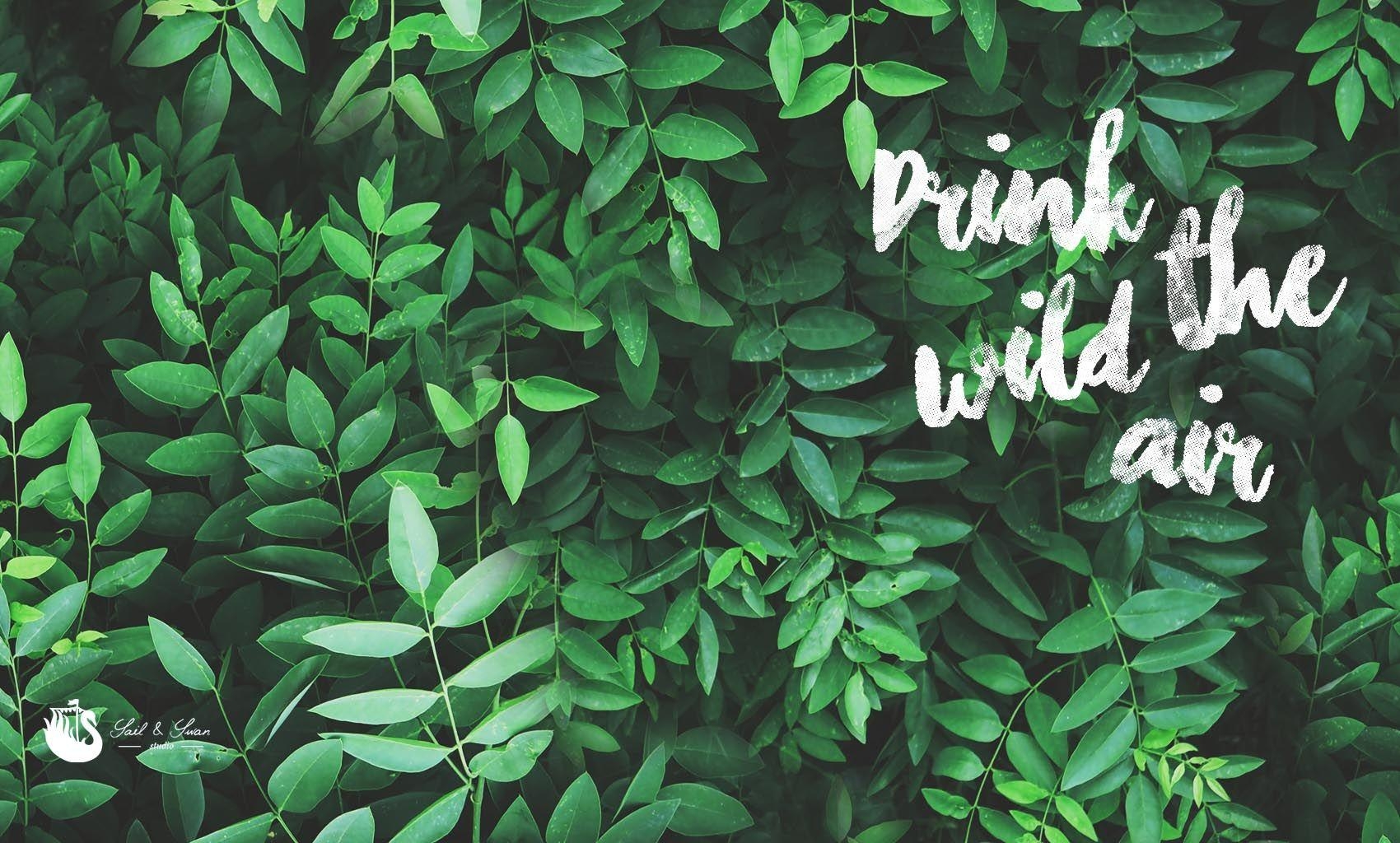 1700x1030 Aesthetic Green Wallpaper Desktop Wallpaper Portal, Desktop