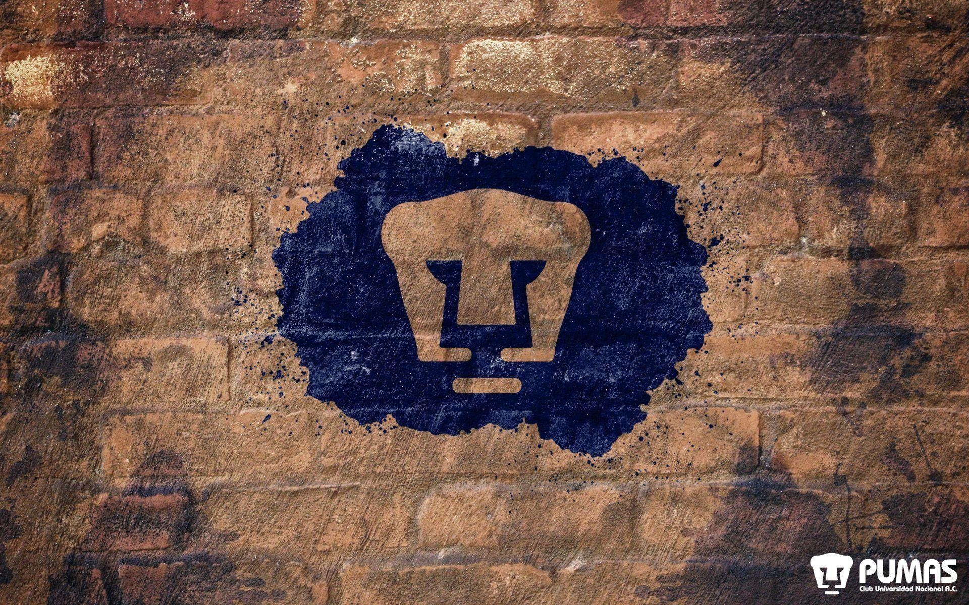 1920x1200 Pumas Wallpaper, Desktop