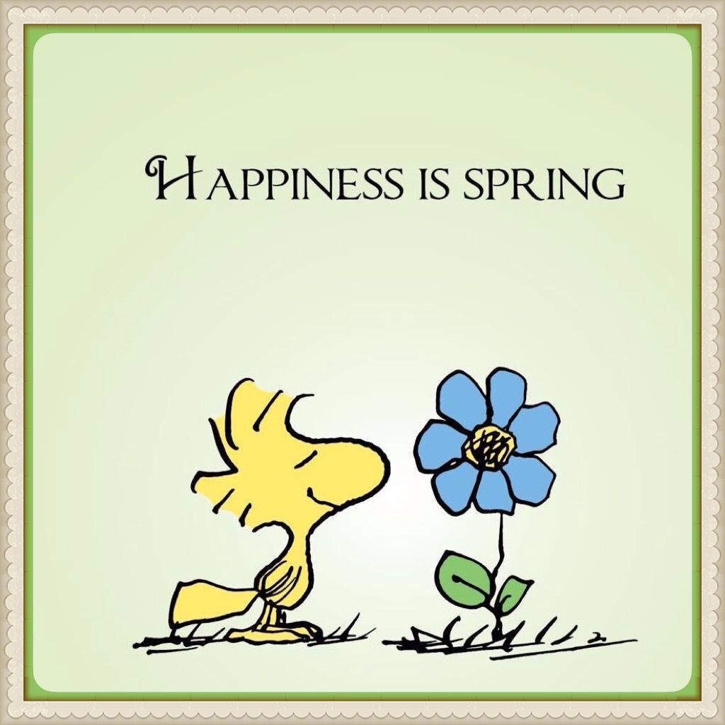 1030x1030 Happiness is Spring, Phone