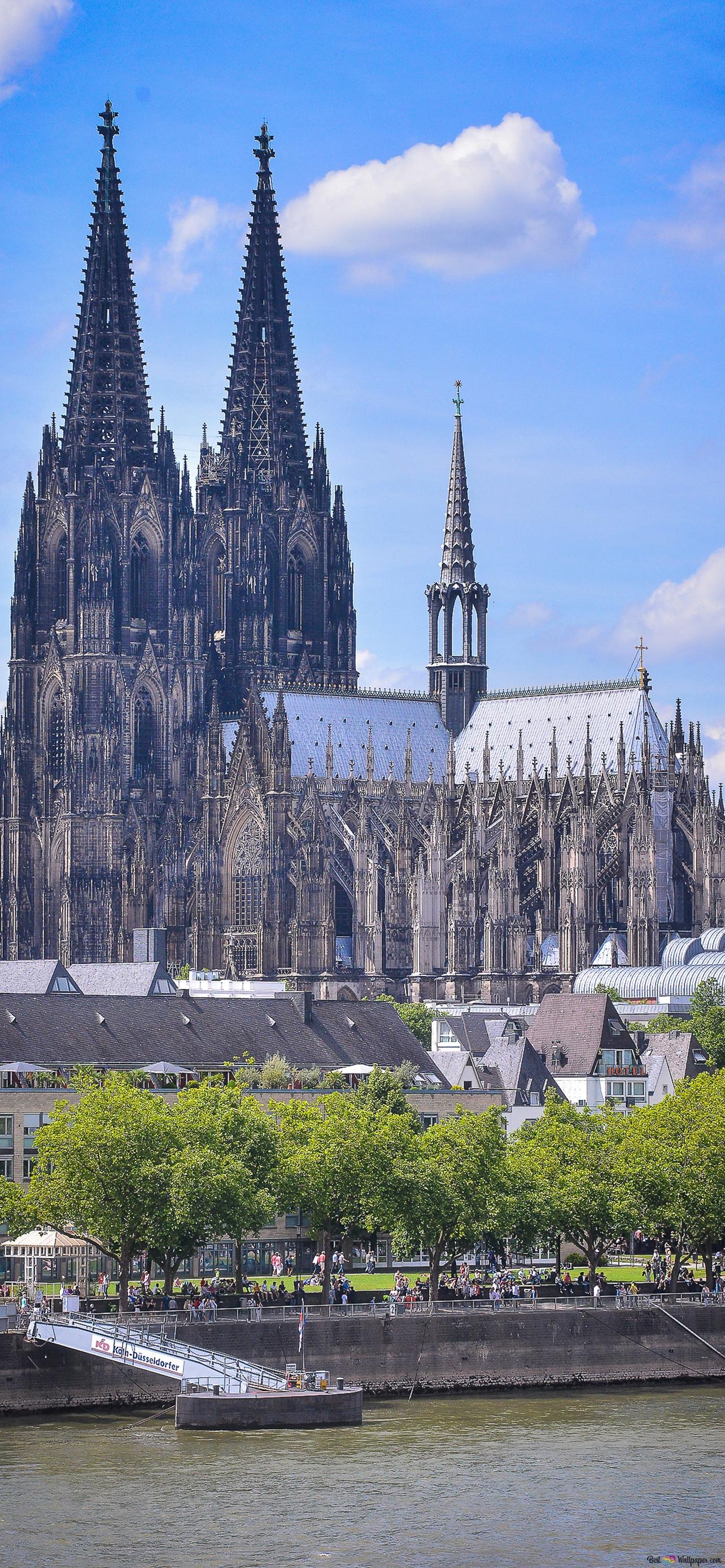 1290x2780 Cologne Cathedral and the Rhine river in Cologne, Germany HD wallpaper download, Phone