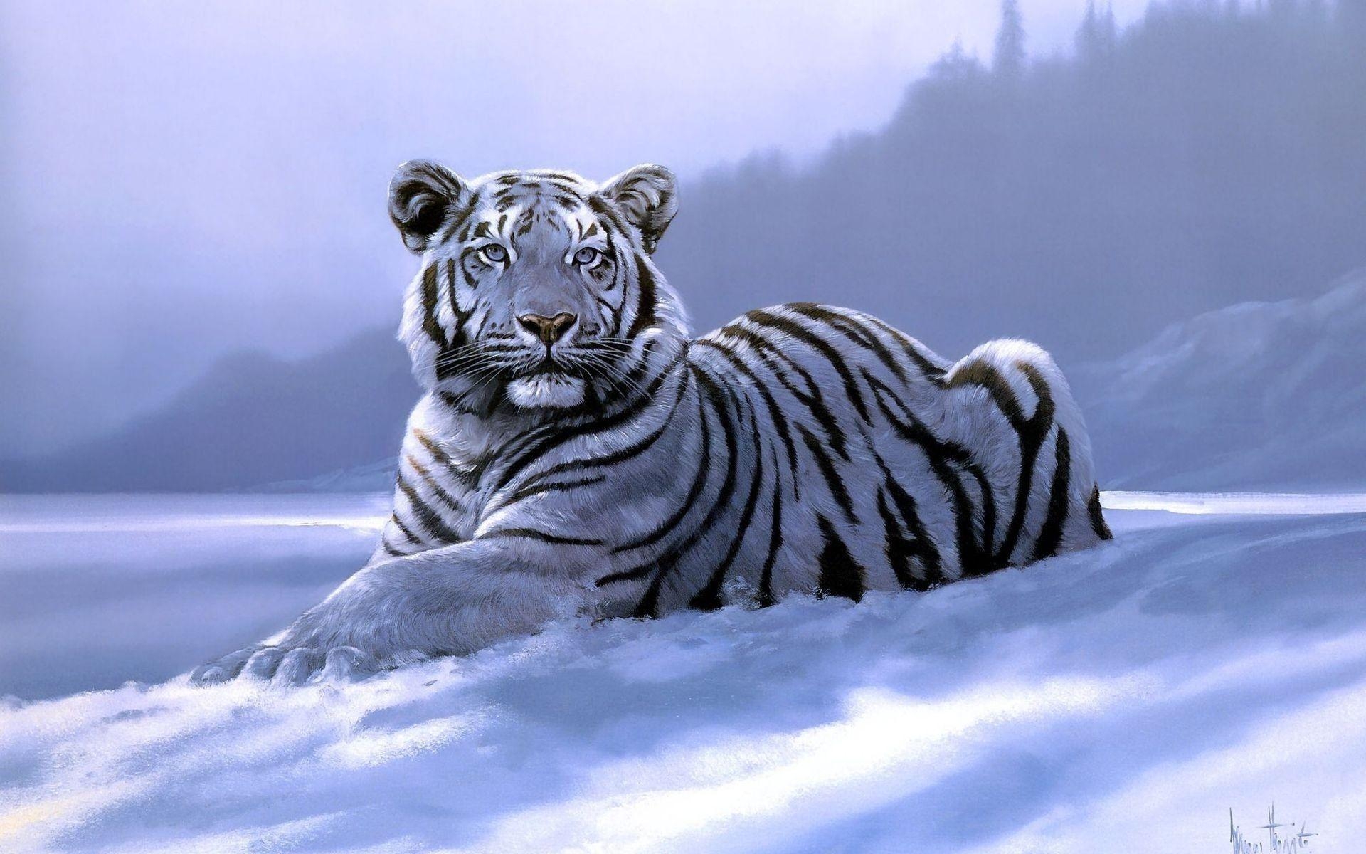 1920x1200 White Tiger Wallpaper. White Tiger Background, Desktop