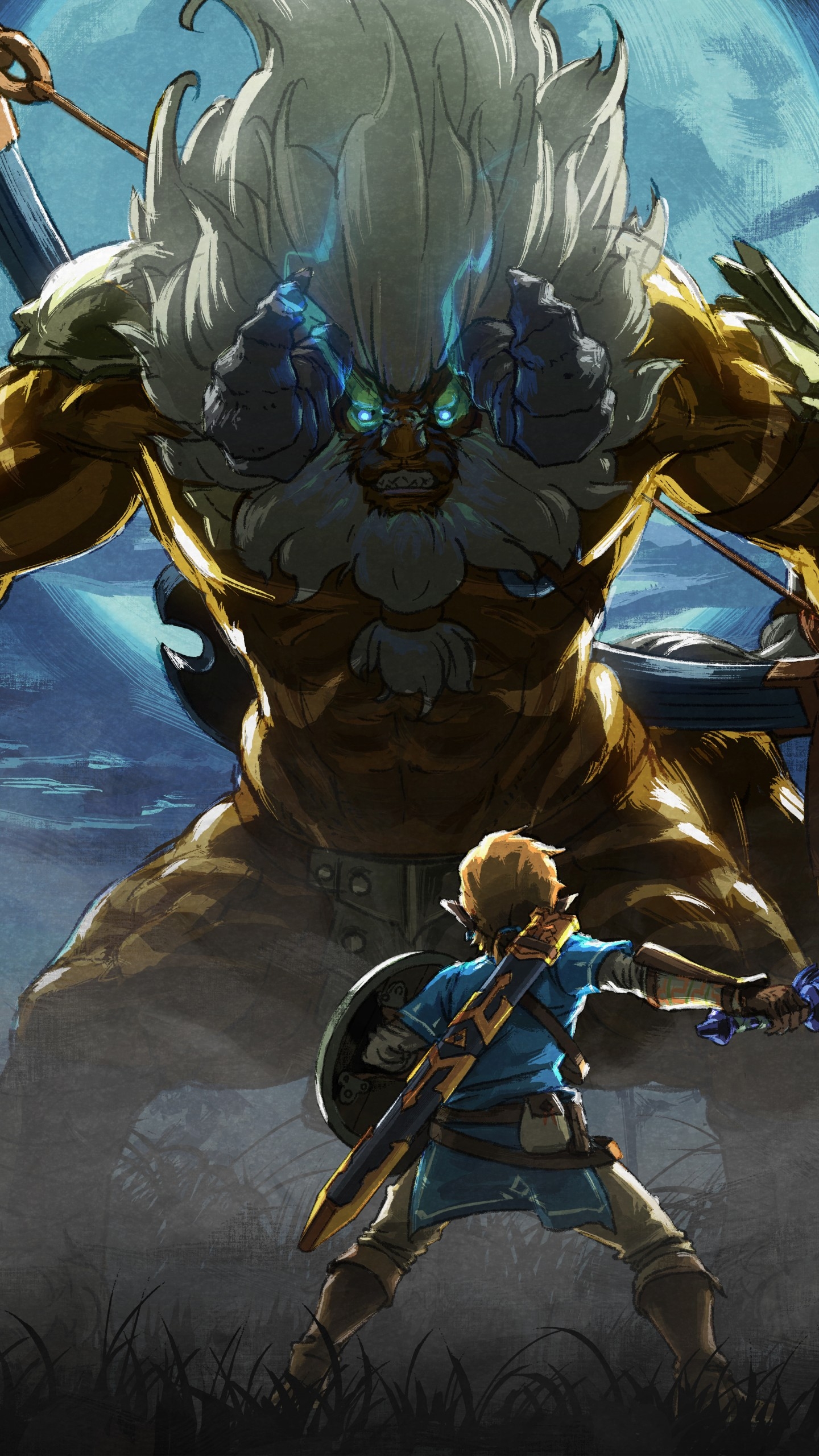 1440x2560 Legend Of Zelda Breath Of The Wild, Phone