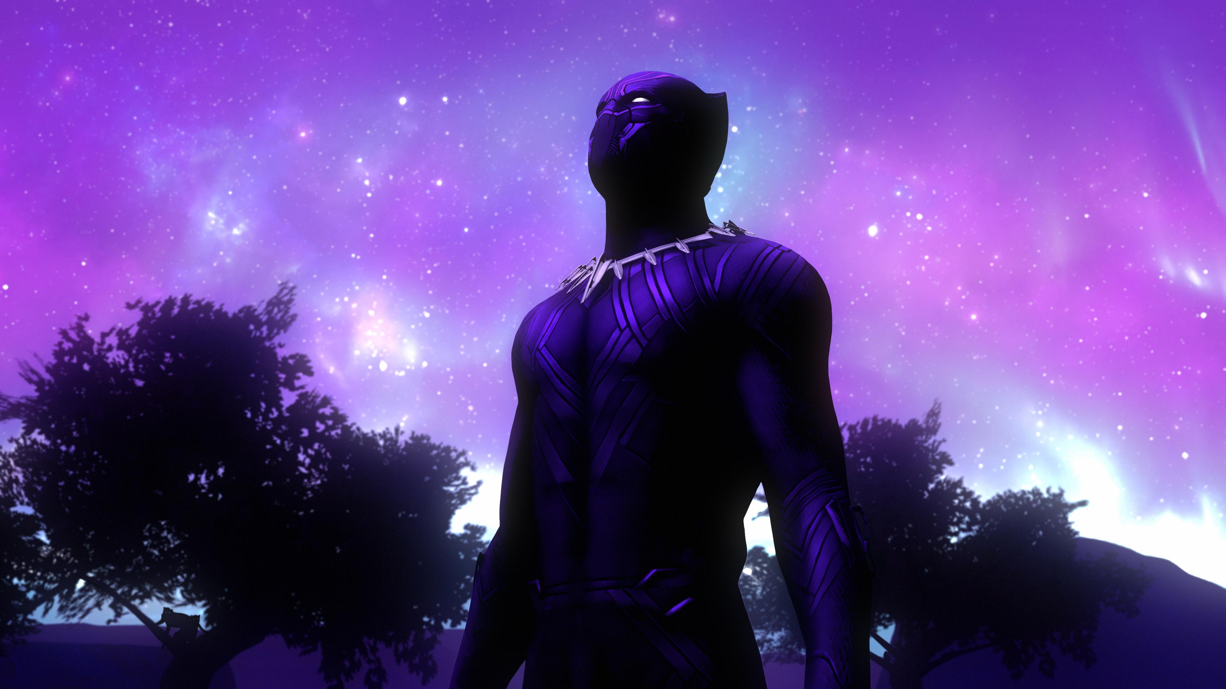 4000x2250 Black Panther Fanart 4k, HD Movies, 4k Wallpaper, Image, Desktop