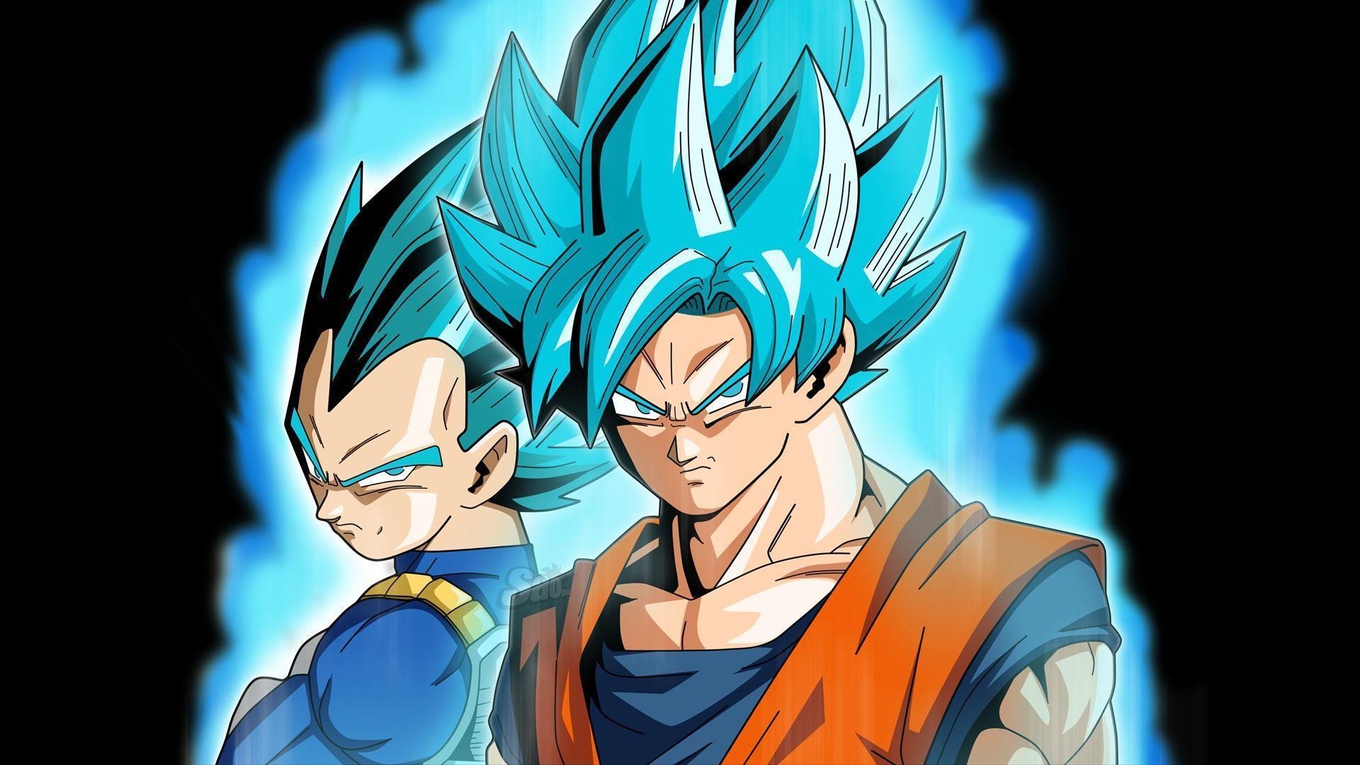 1920x1080 Goku and Vegeta Super Saiyan Blue DB. Wallpaper, Desktop