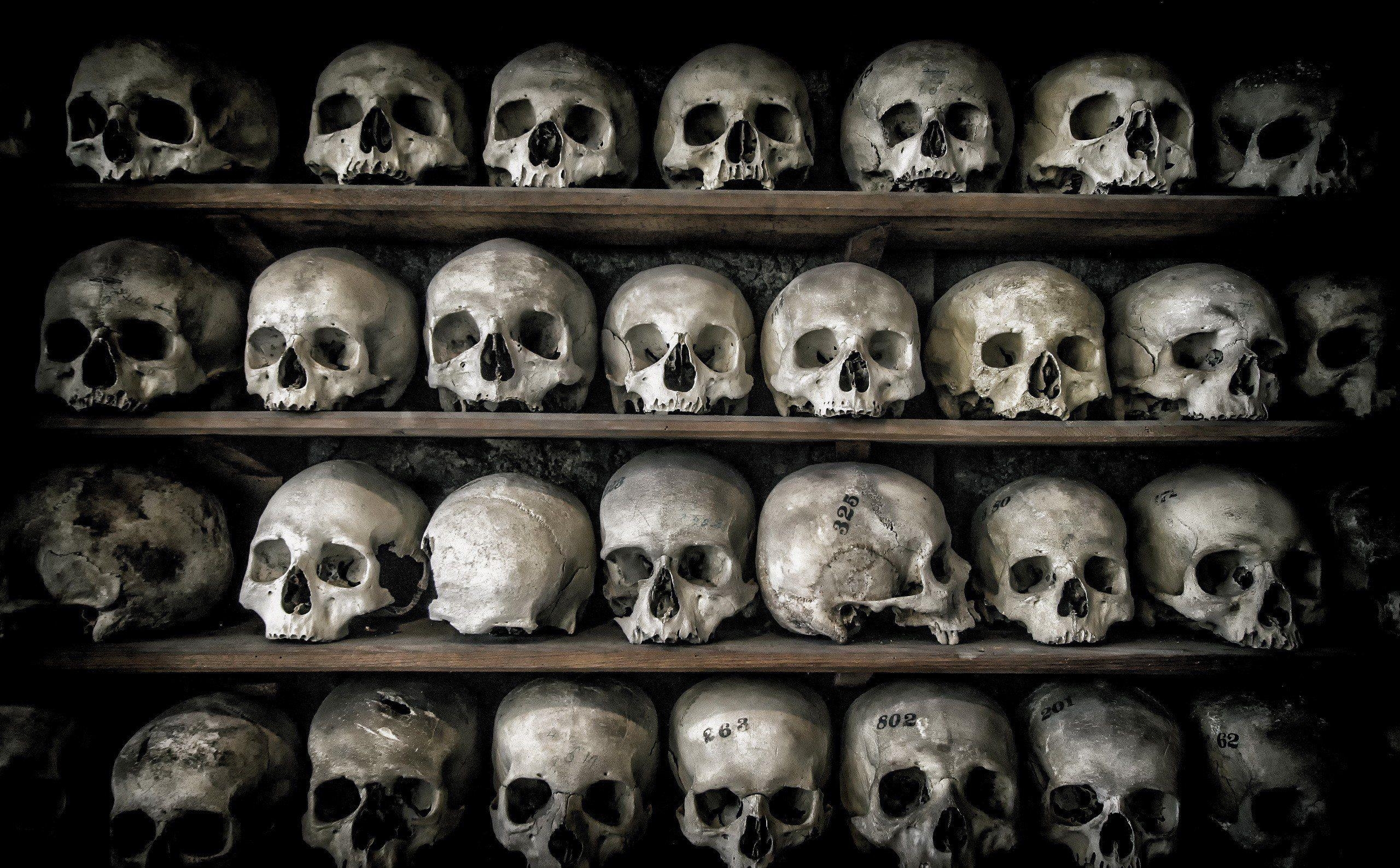 2560x1590 death, Skull, Bones Wallpaper HD / Desktop and Mobile Background, Desktop