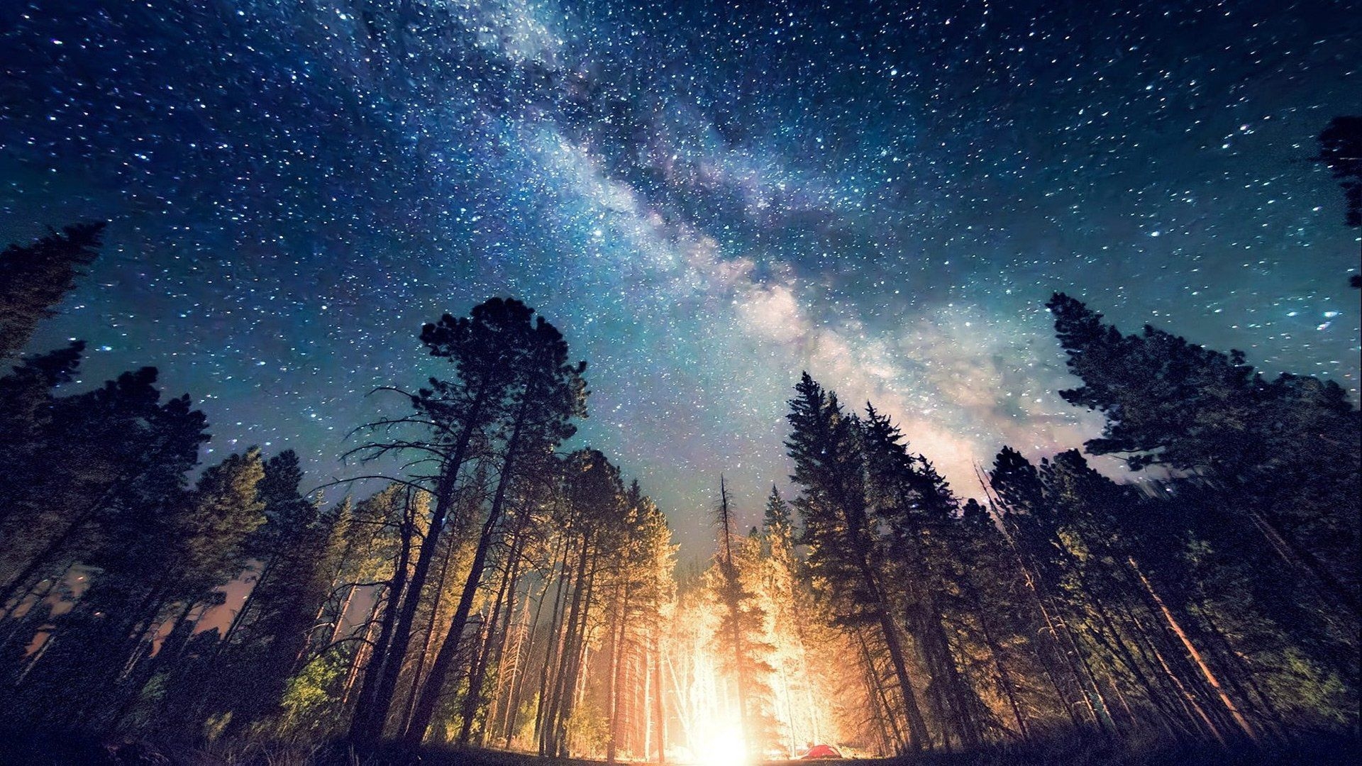 1920x1080 Trees Under Starry Sky HD Dark.hdwallpaper.in, Desktop