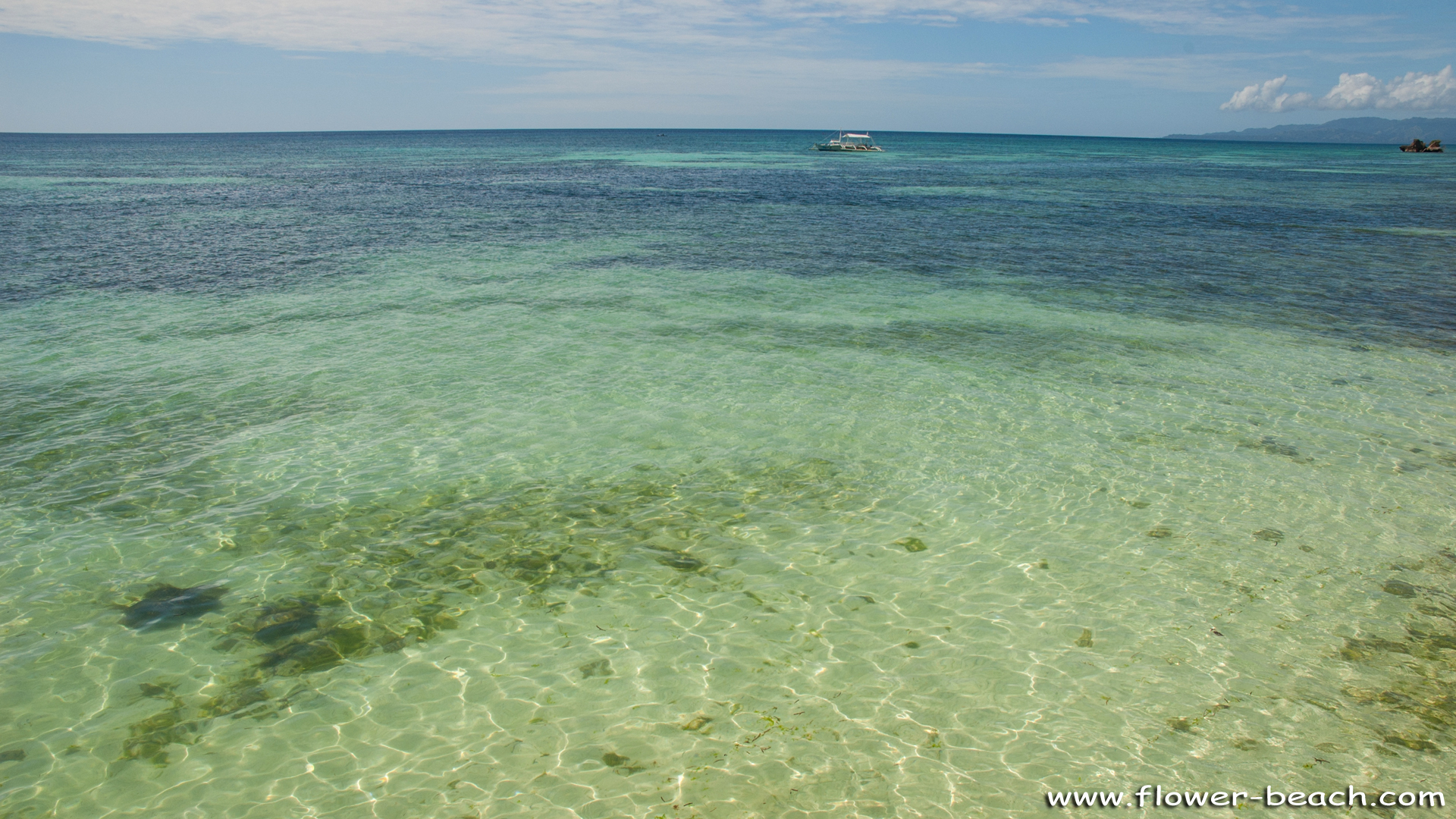 1920x1080 Howdy? Wallpaper from FloWer Beach, Desktop